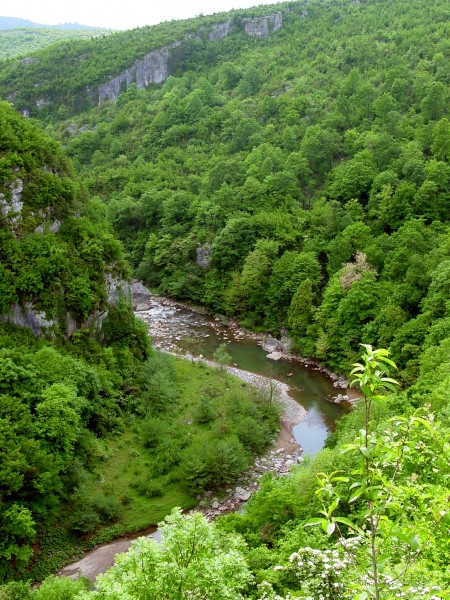 Tskaltsitela River