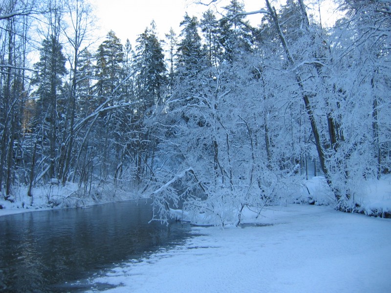Valdaika-river-01-2012-03