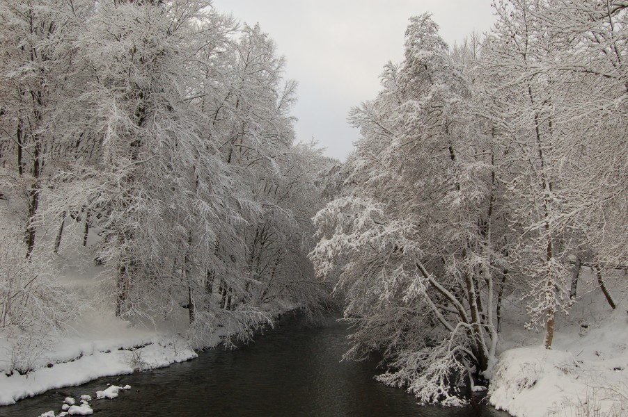 Winter an der Rur unterhalb von Widau