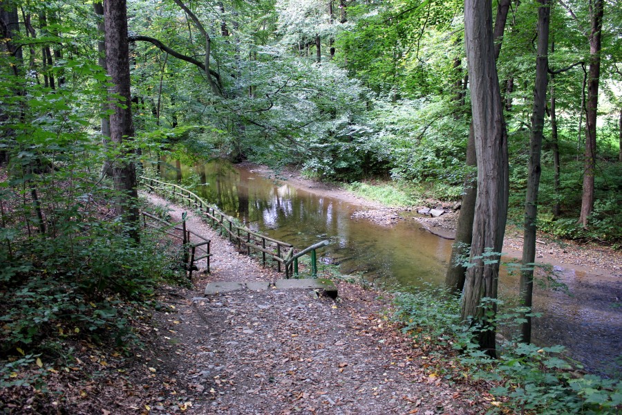 Zwönitz (river), Wasserwerkpark 4 (Barras)