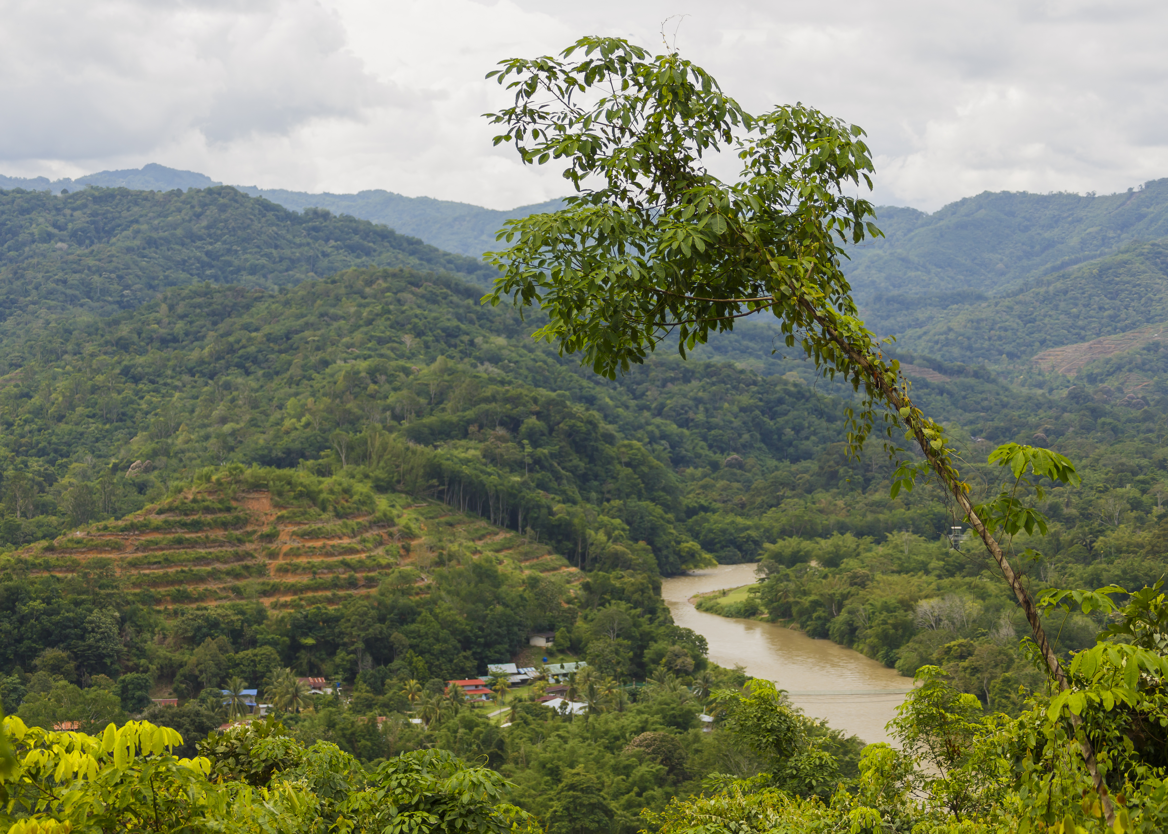 Rangalau-Lama Sabah Sungai-Tuaran-01