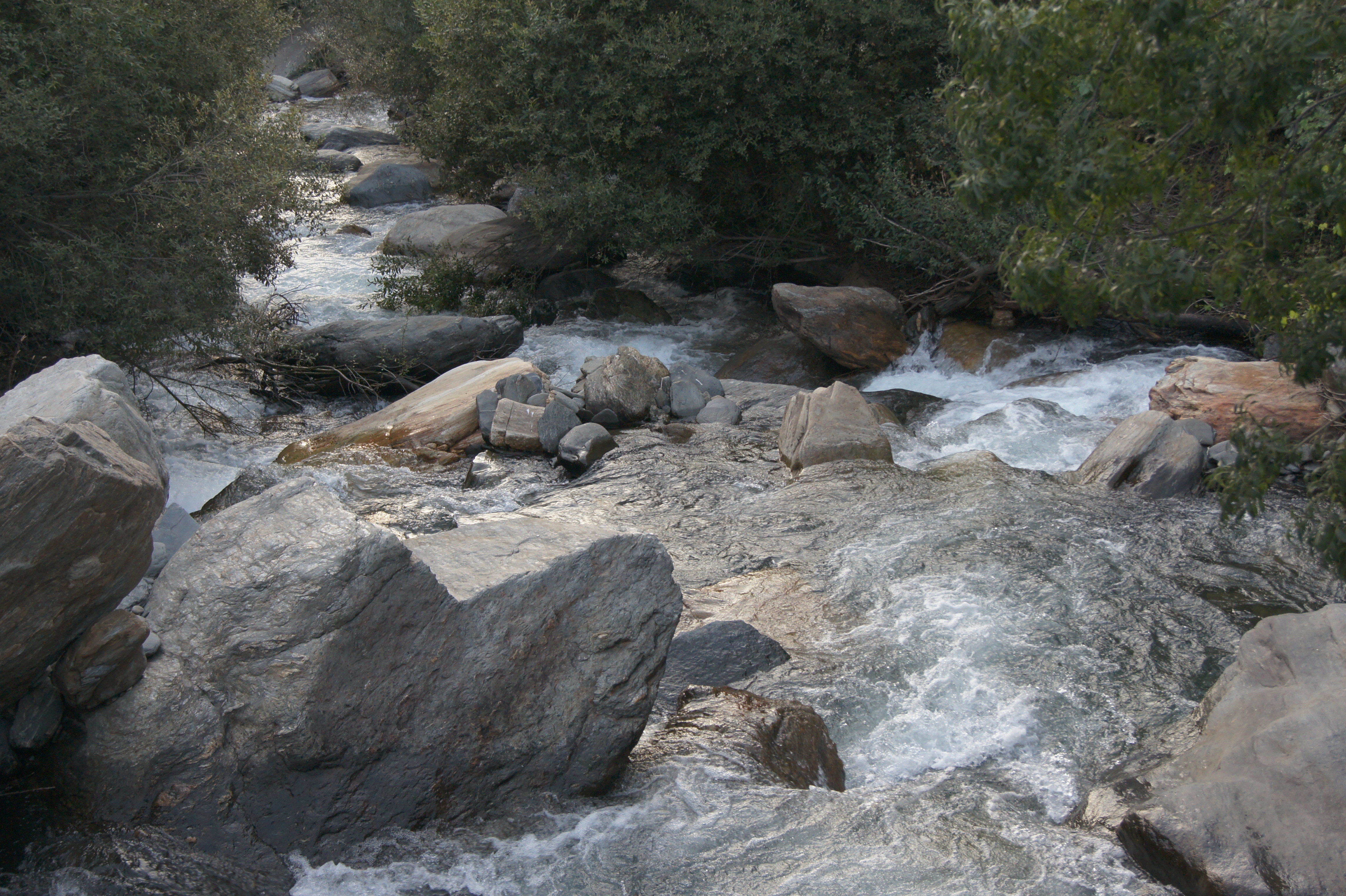 Rio genil birth