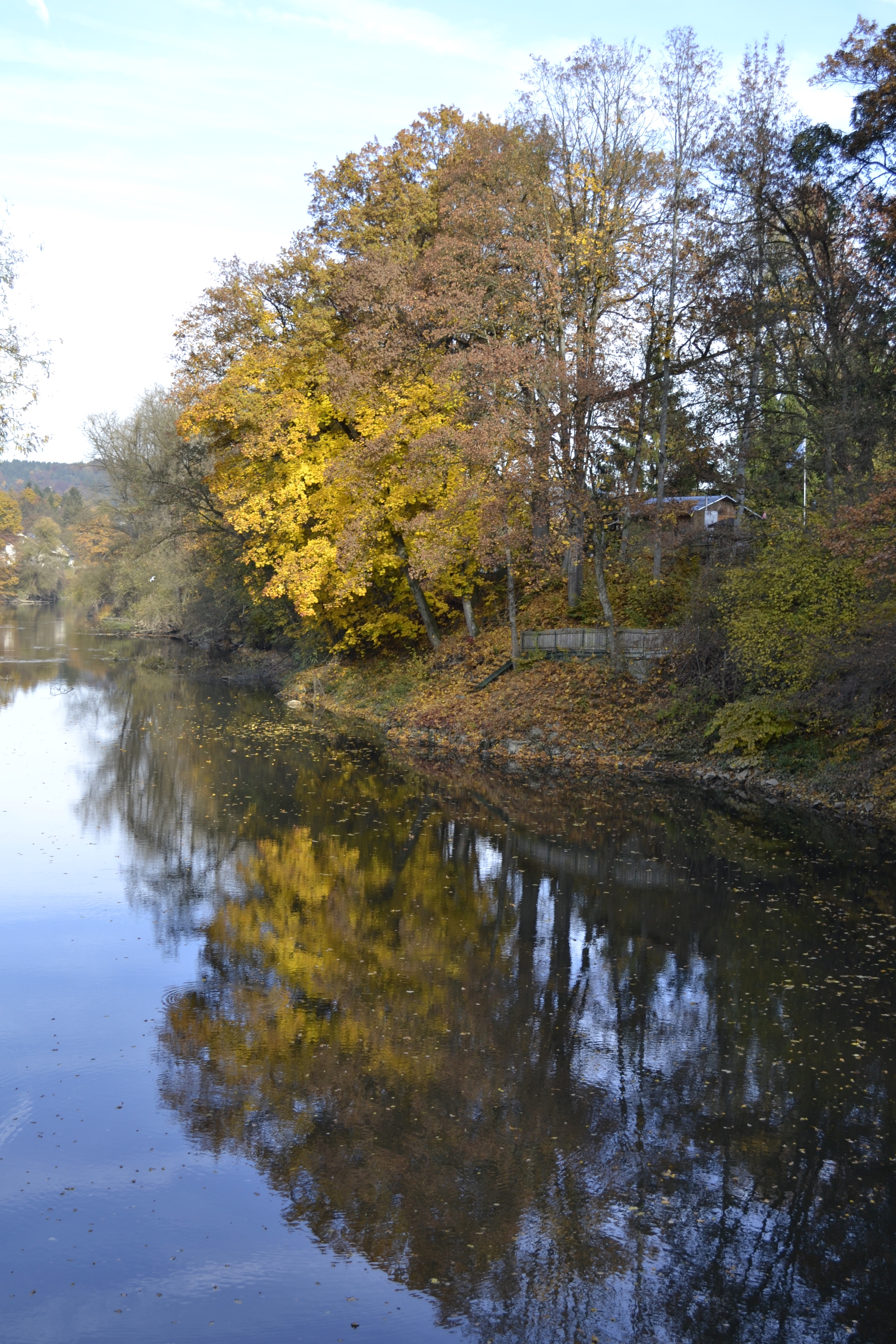 River Vils with broad-leaved trees in Autumn
