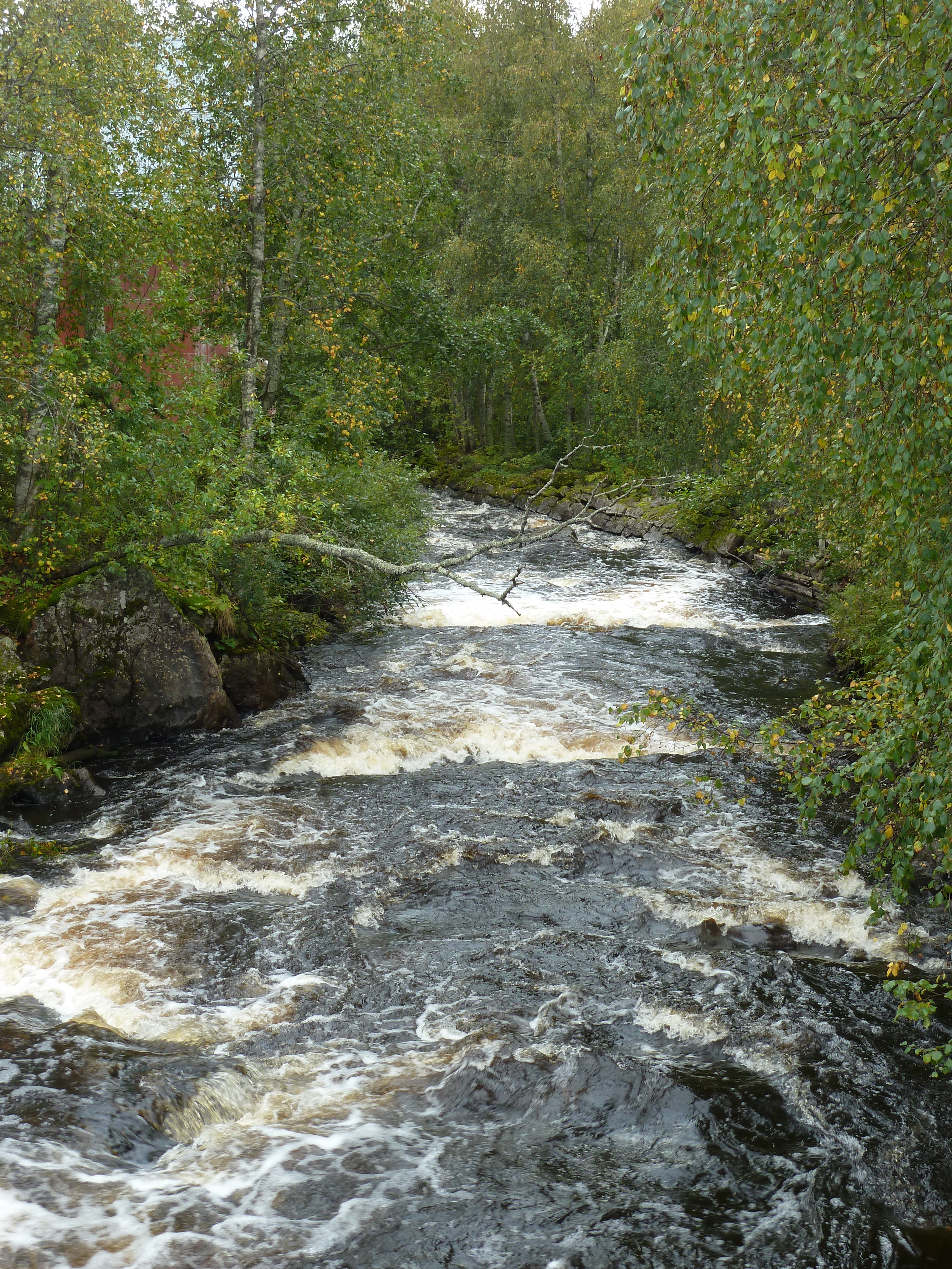Södra Anundsjöån 9