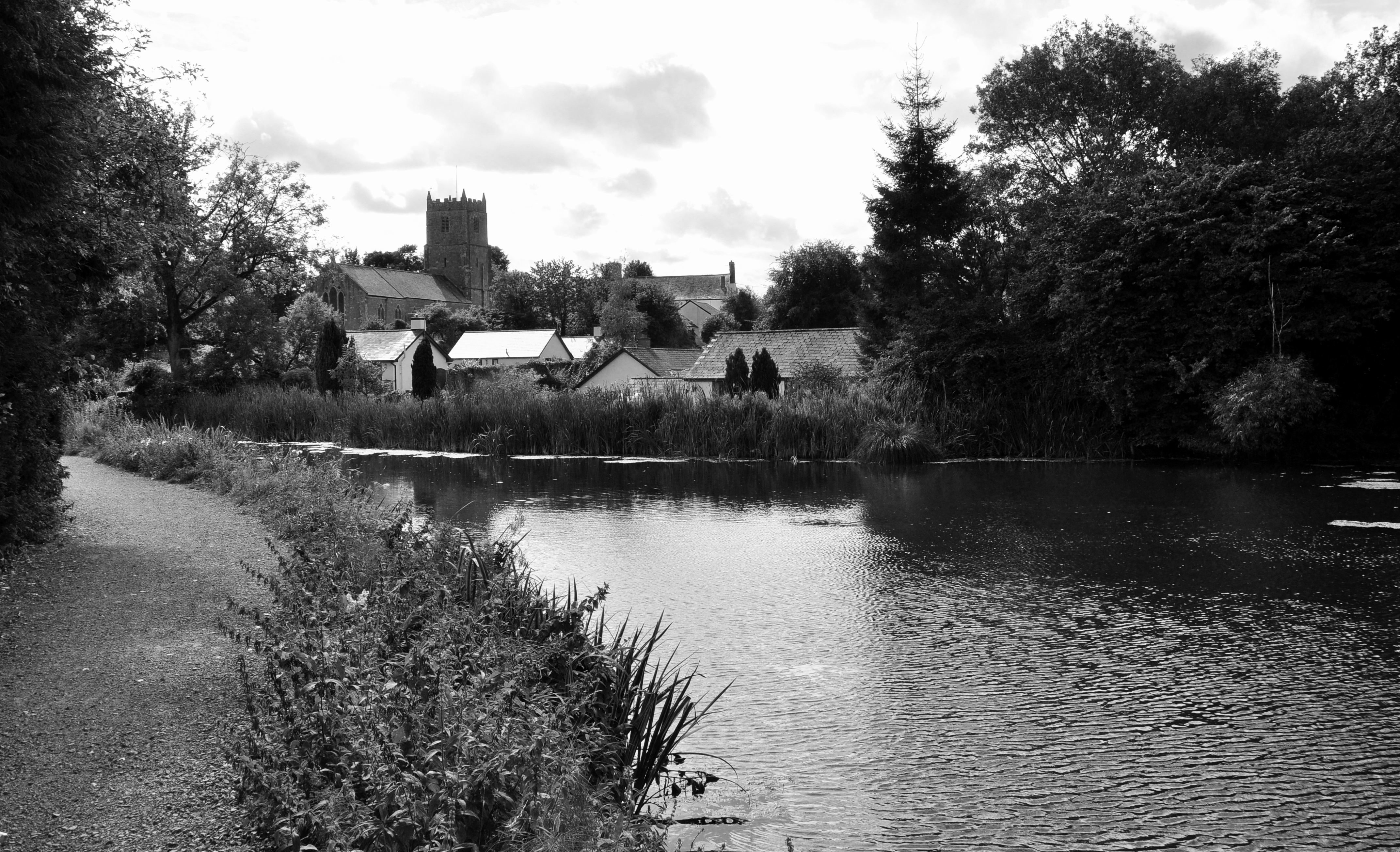 Sampford Peverell (6112300675)