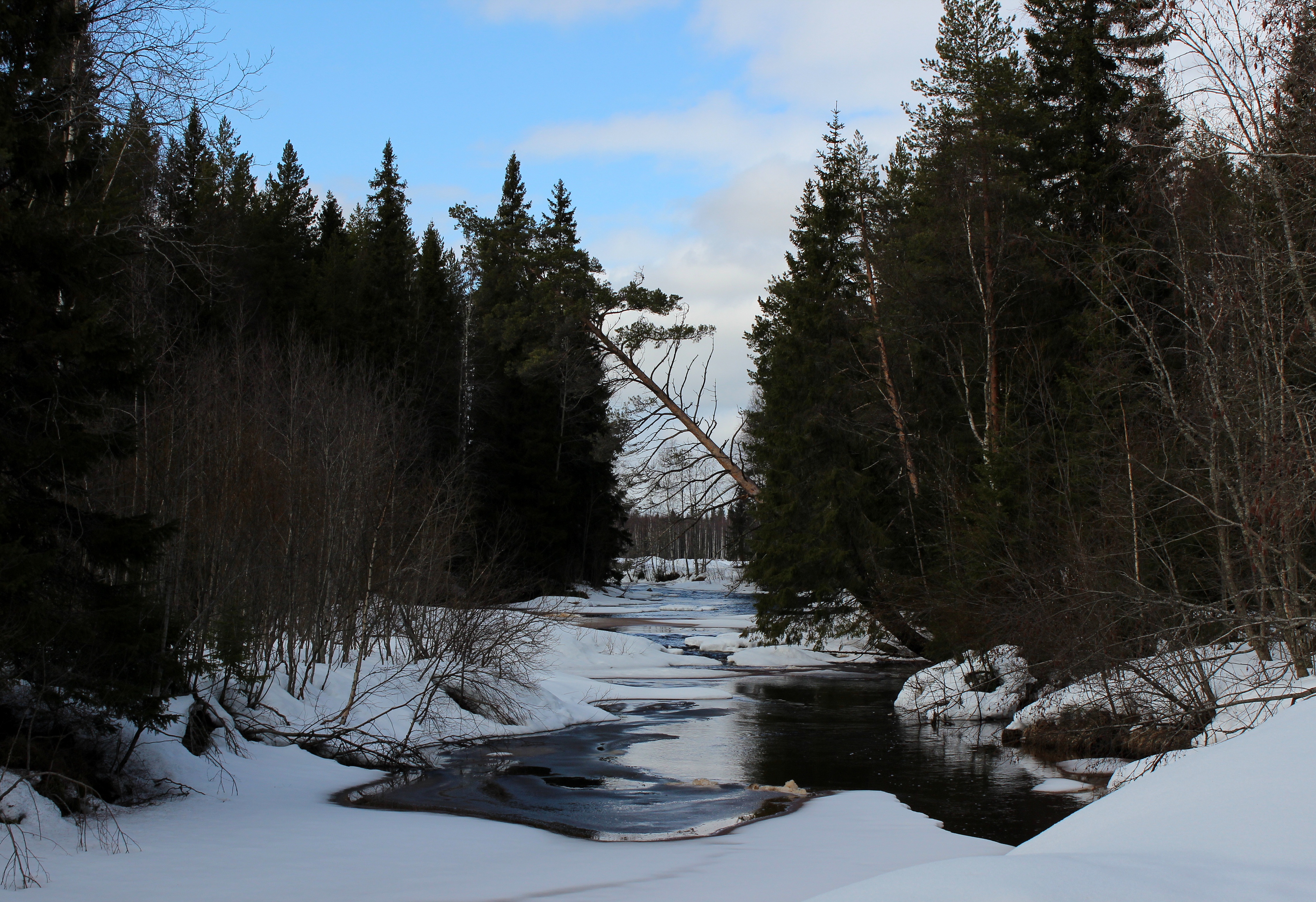 Sanginjoki Oulu 20120422b