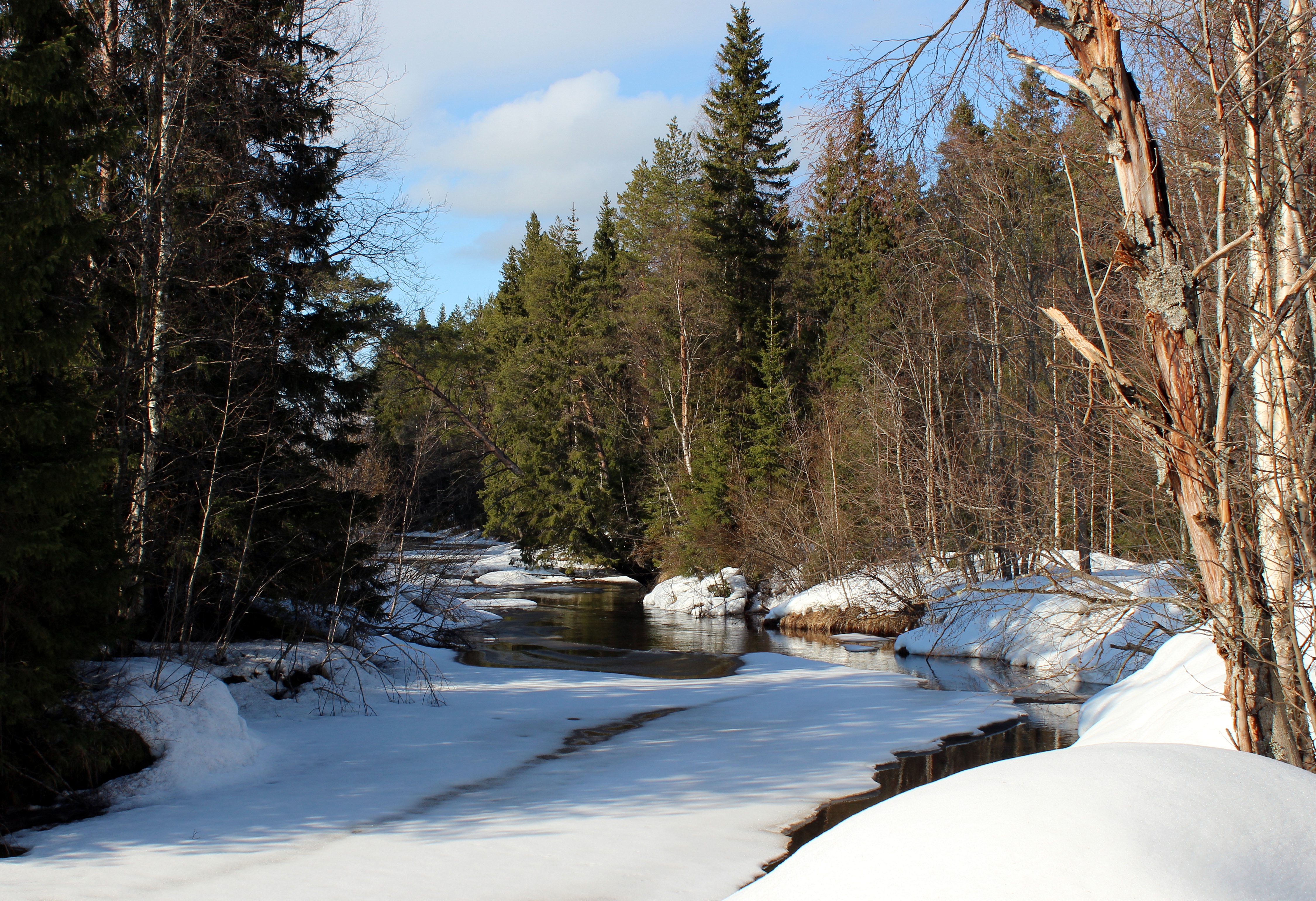 Sanginjoki Oulu 20120422c
