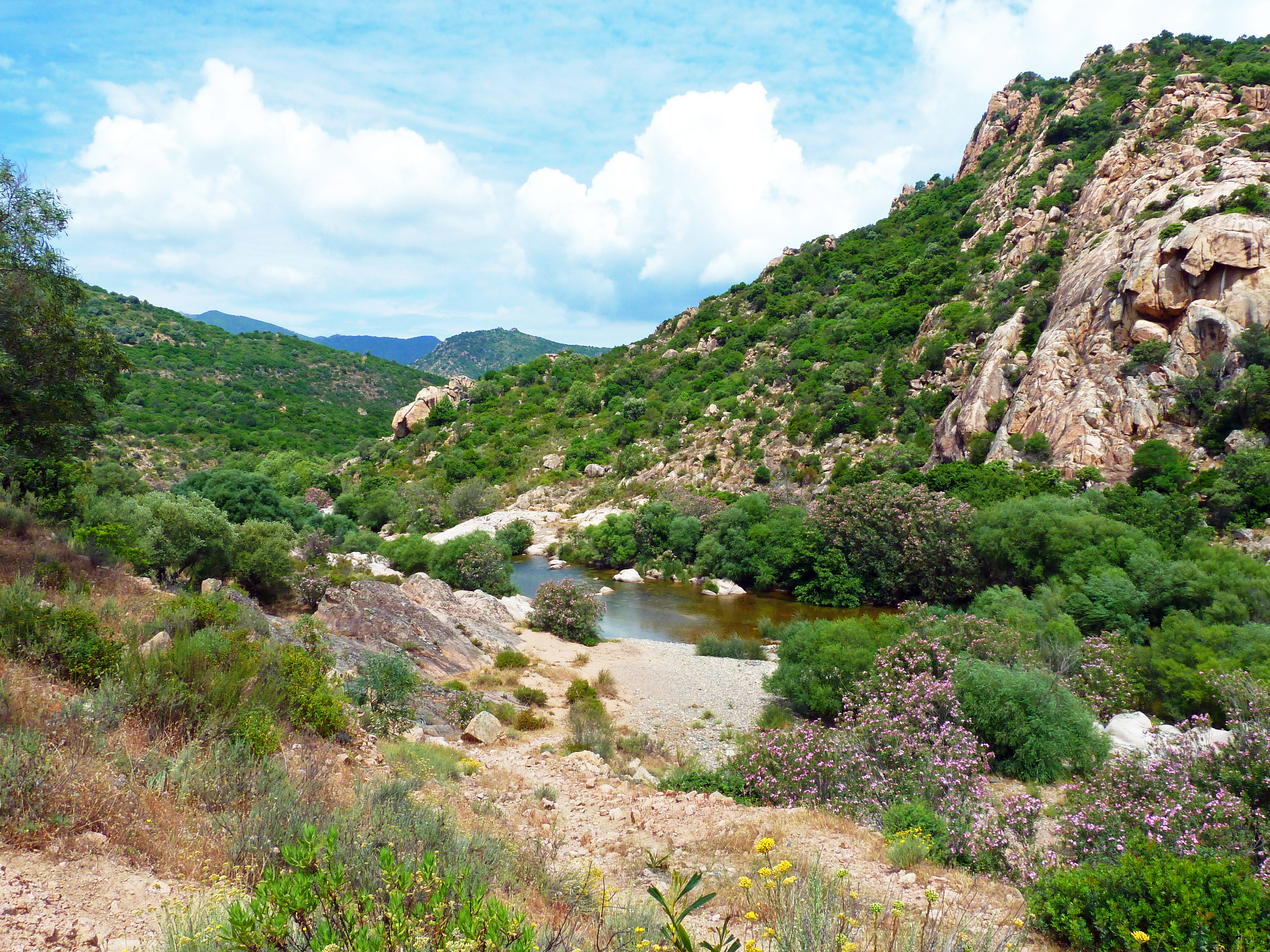 Sarrabus - Torrente