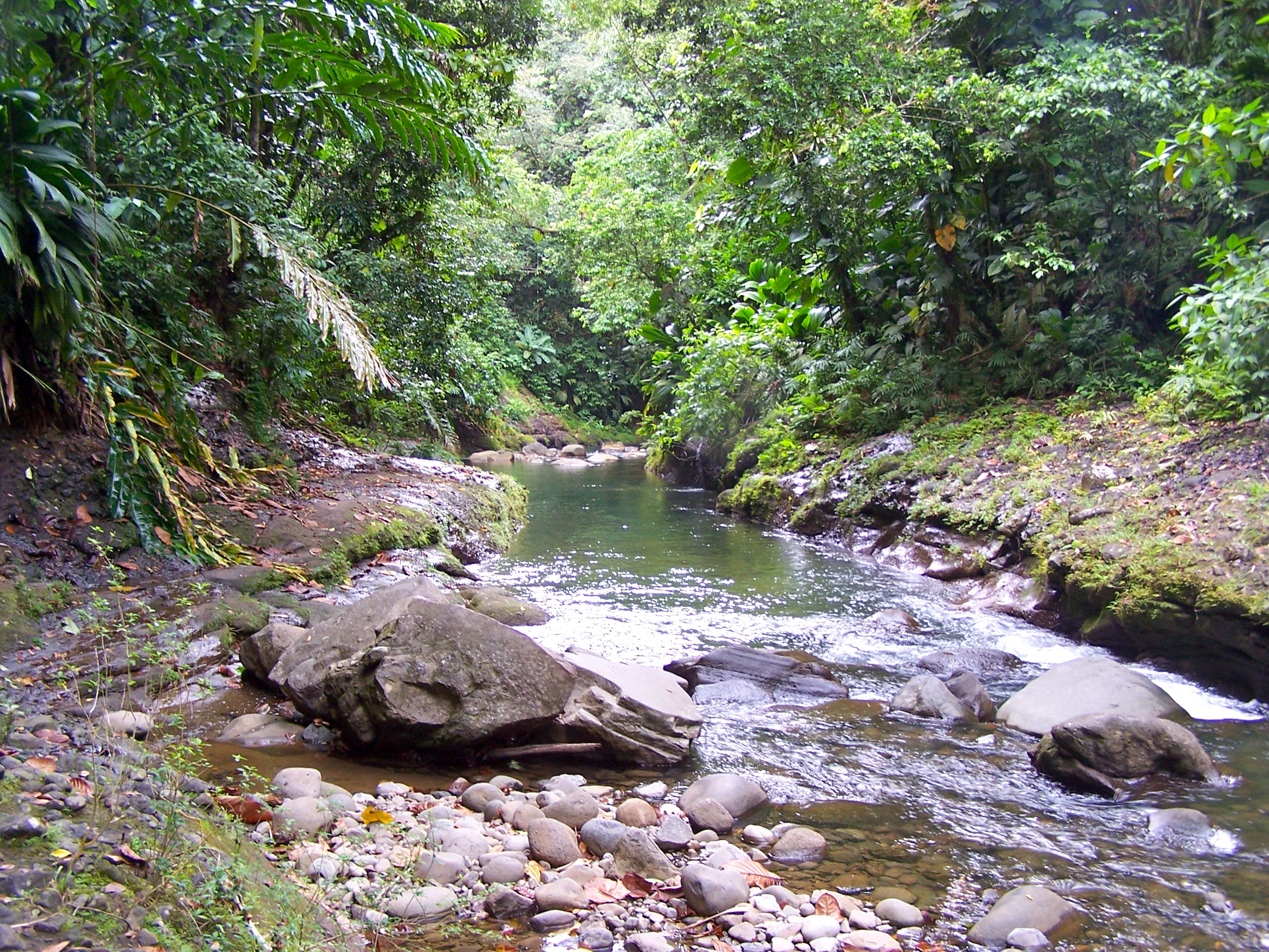 Saut de la Lézarde aval
