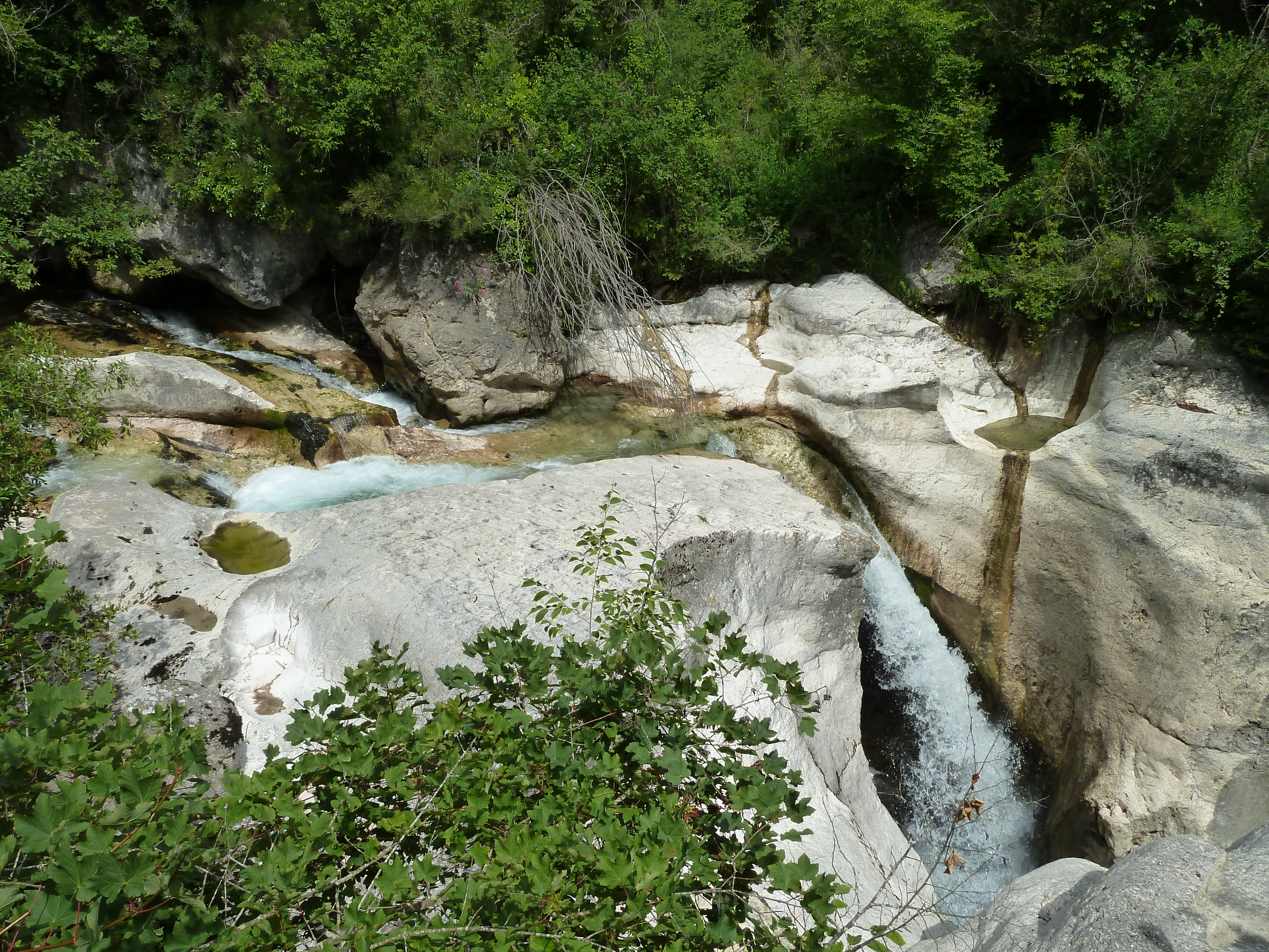 Saut du loup 1