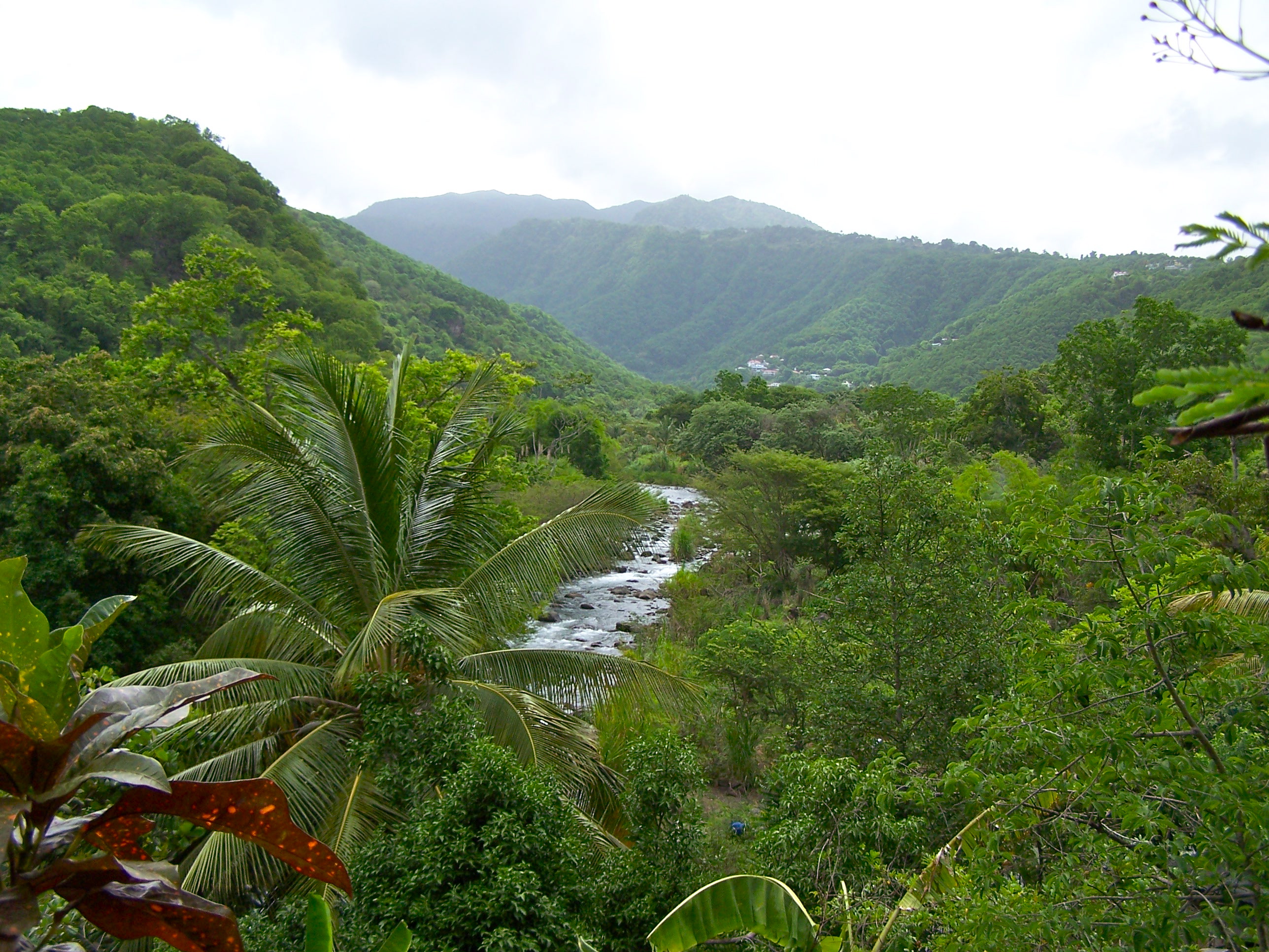 Schœlcher et la Grande-Rivière des Vieux-Habitants