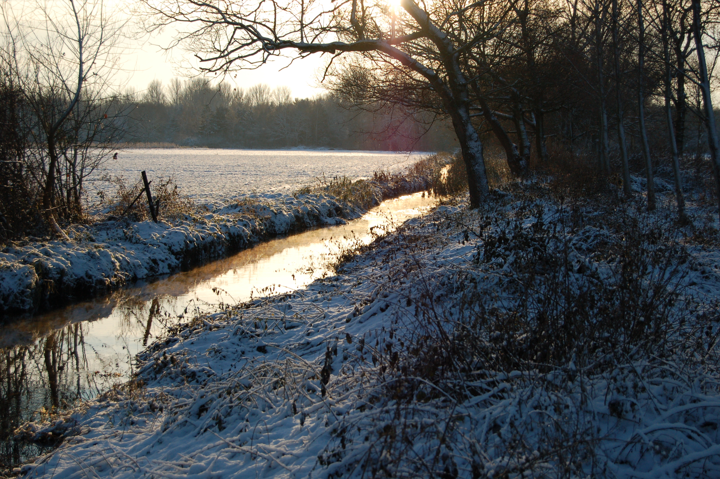 Schaafbach im Schnee