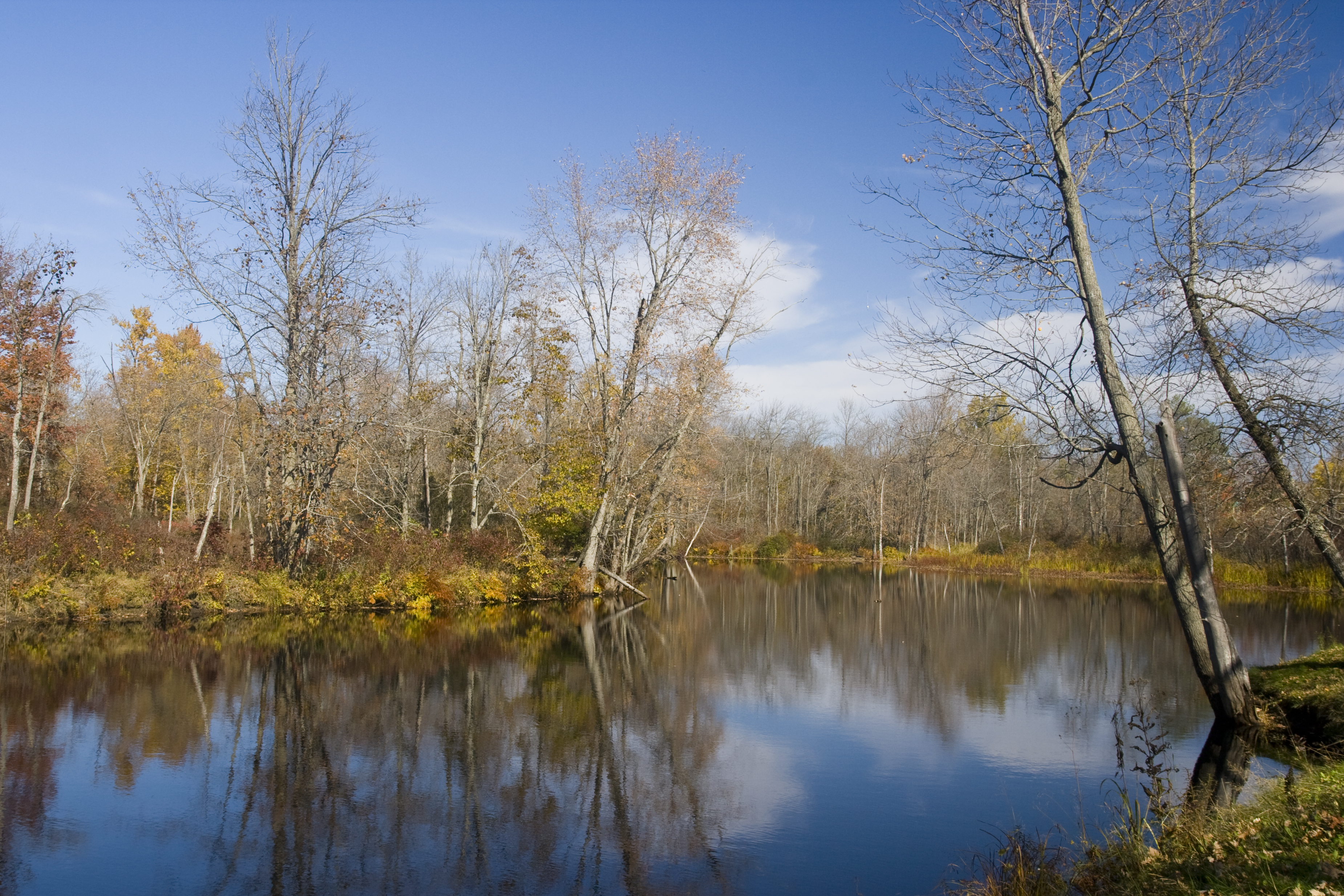 Skootamatta River