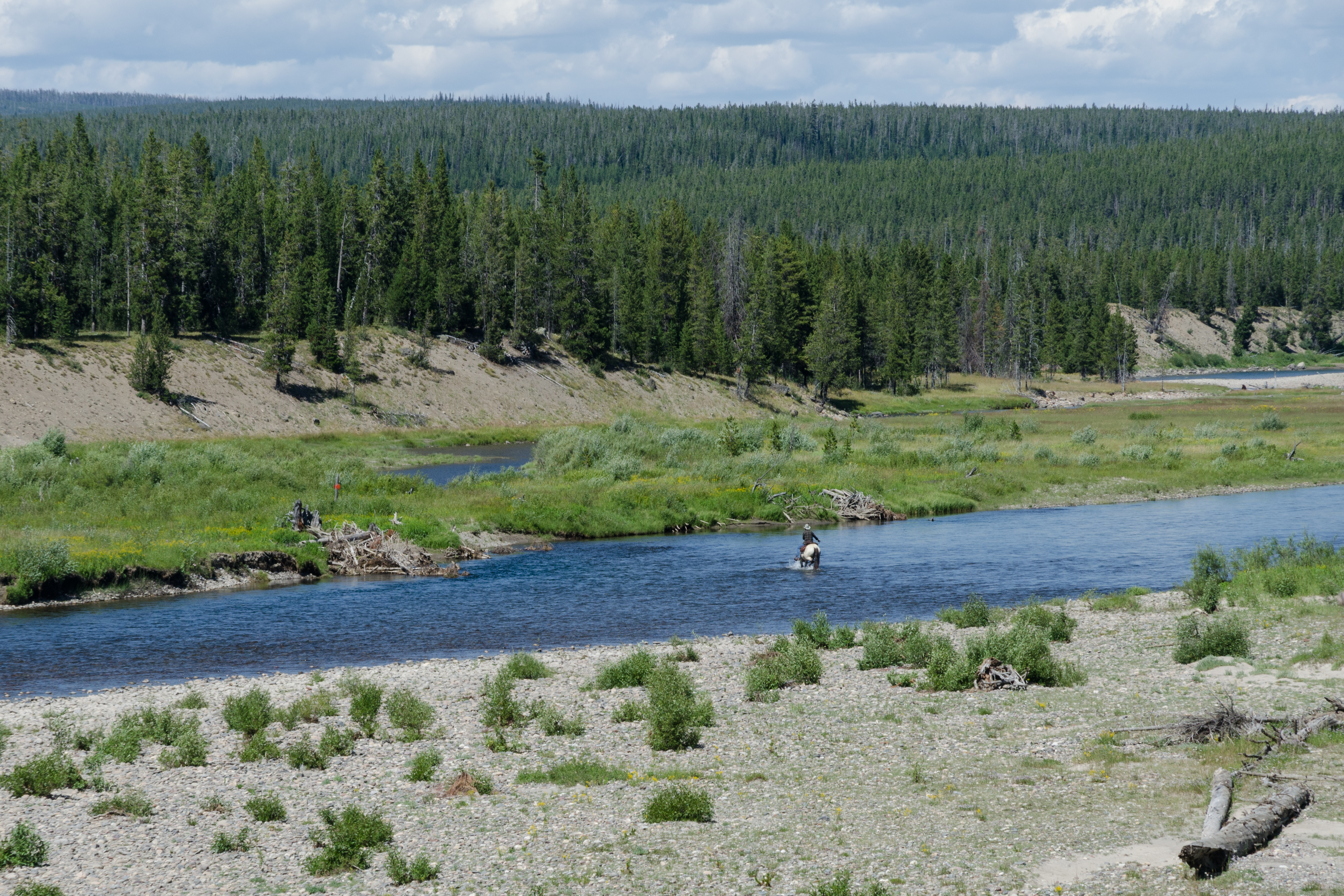 Snake River, Yellowstone National Park, looking towards southeast 20110818 2