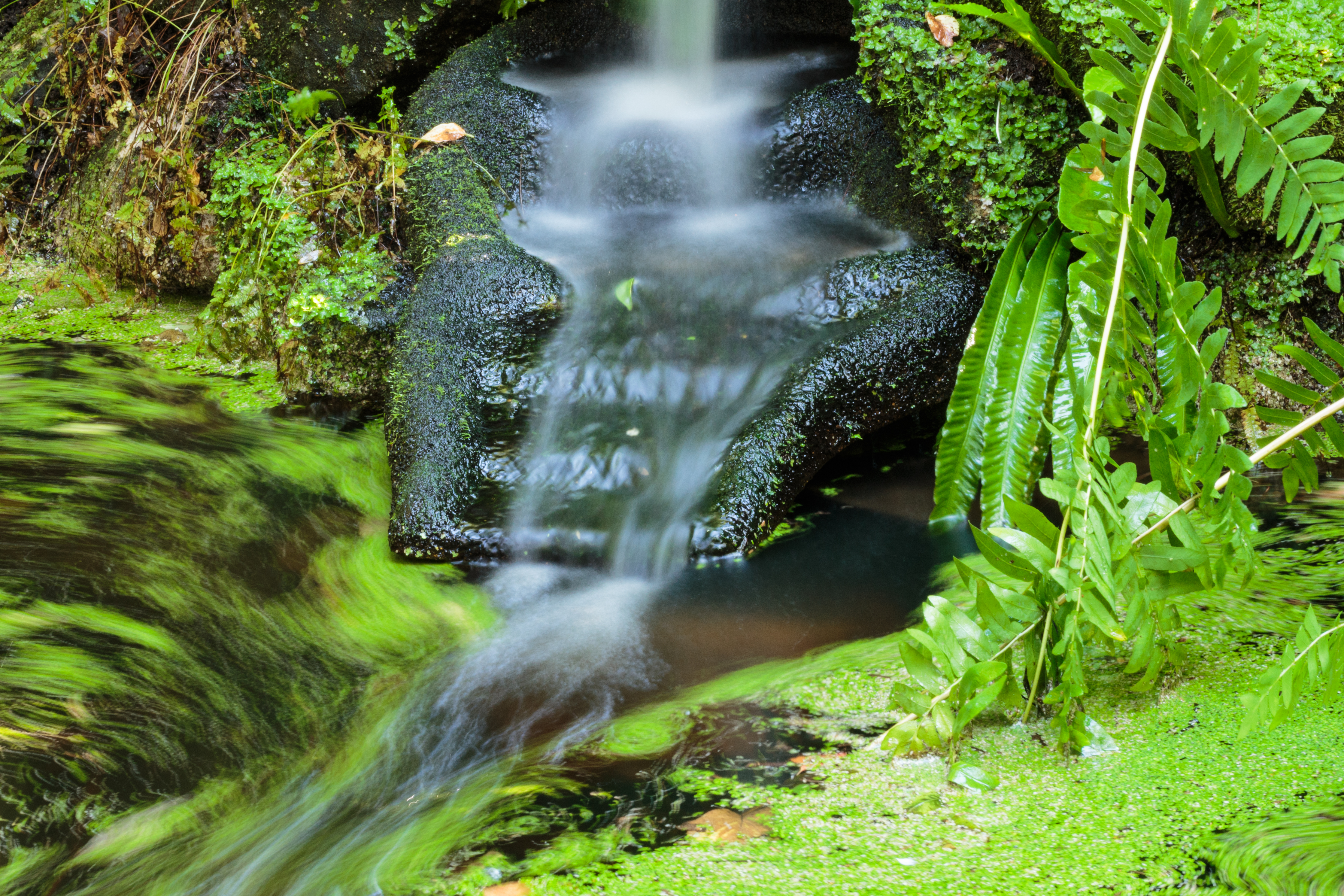 Snelstromend watervalletje. Locatie, De Kruidhof Buitenpost