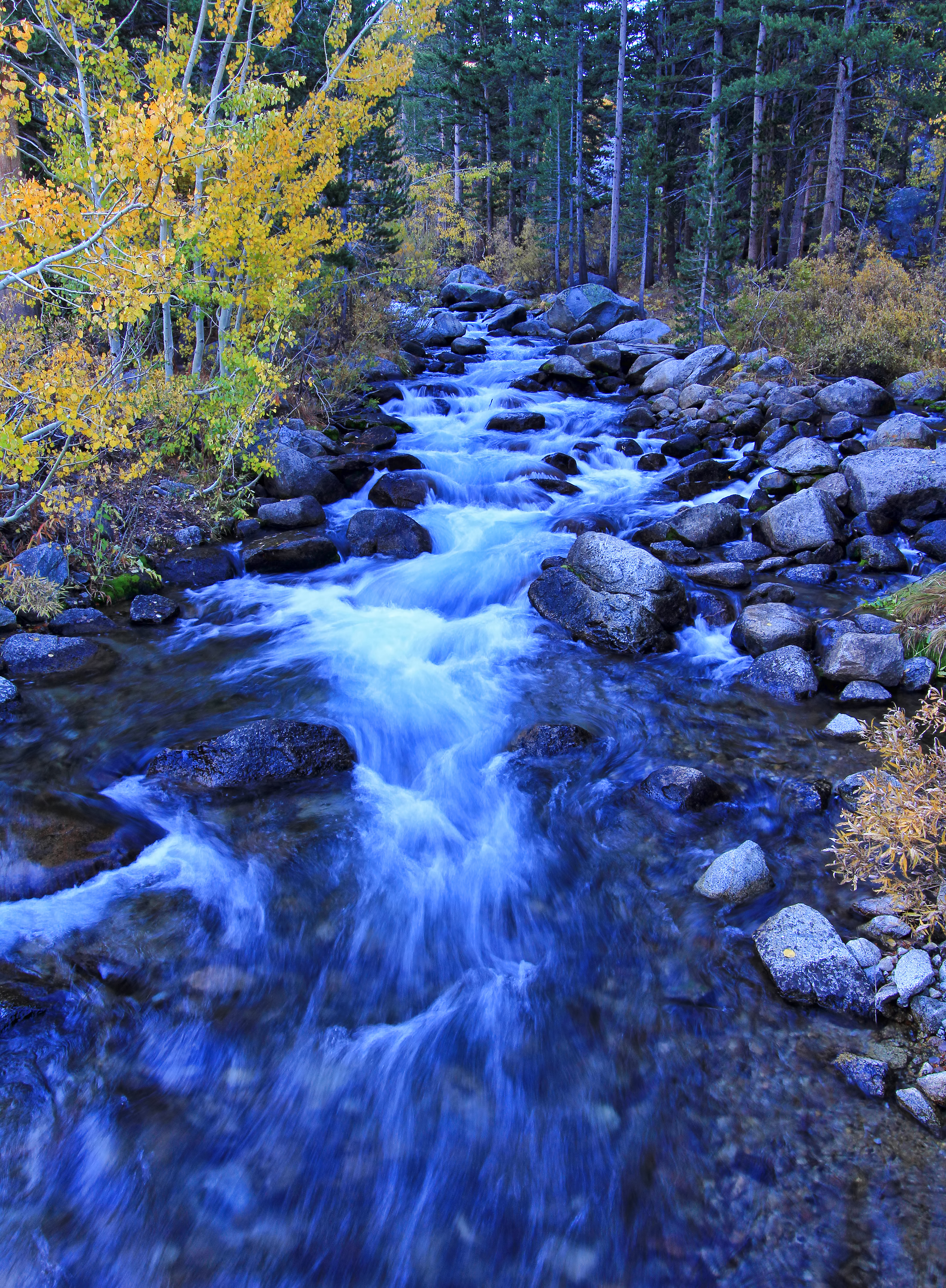 South Bishop Creek