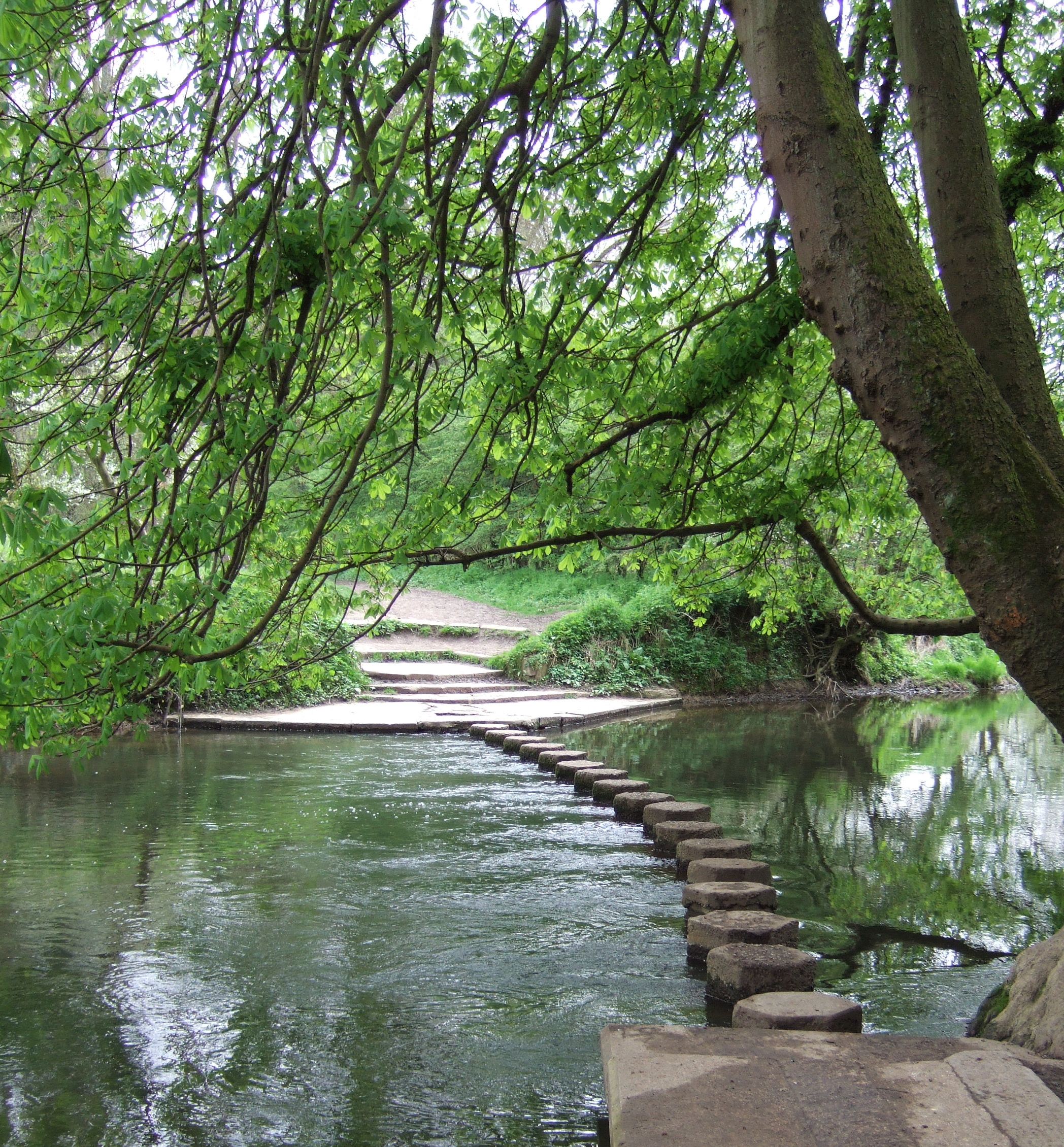 Stepping stones