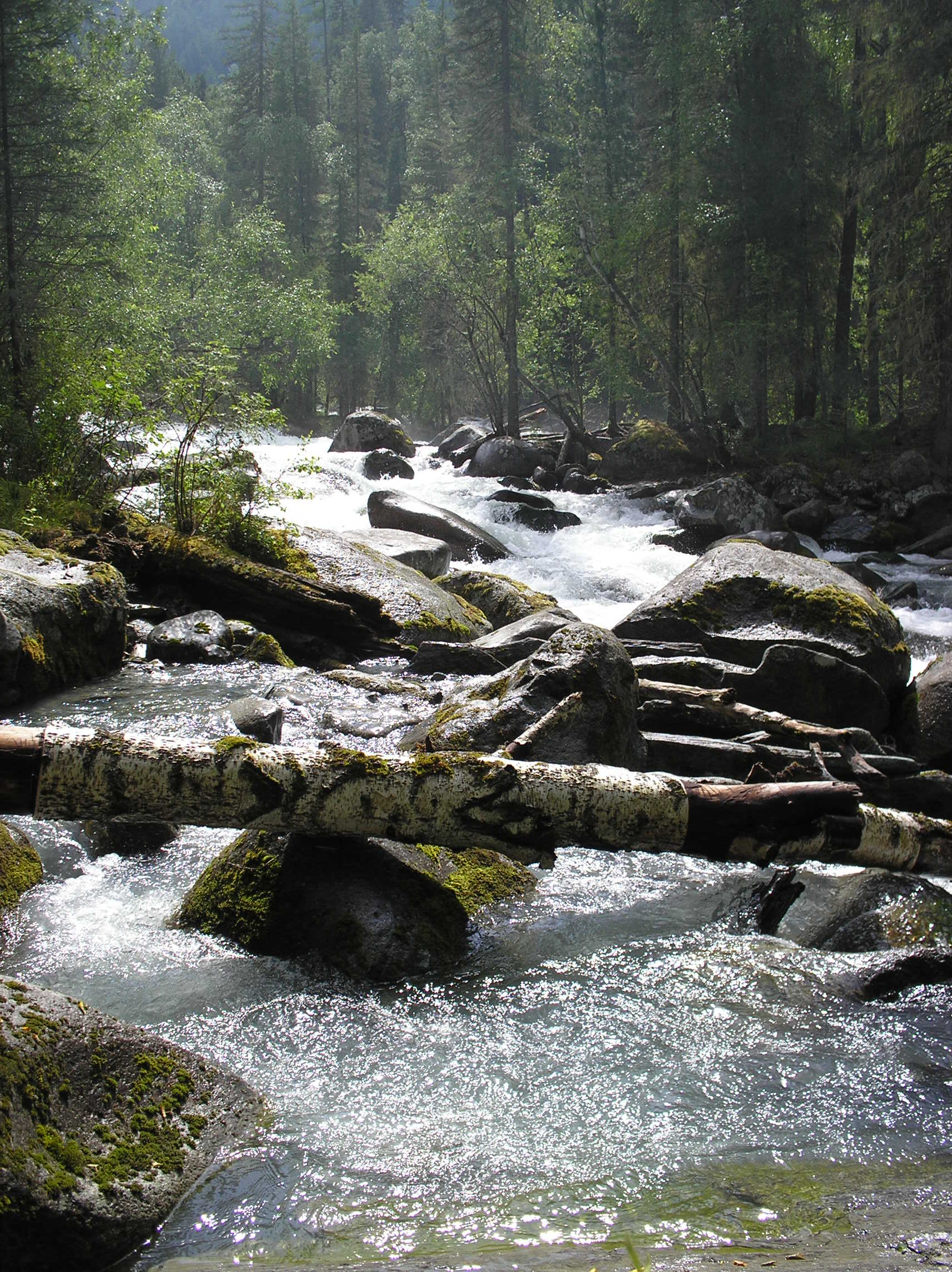 Stream of Kucherla River