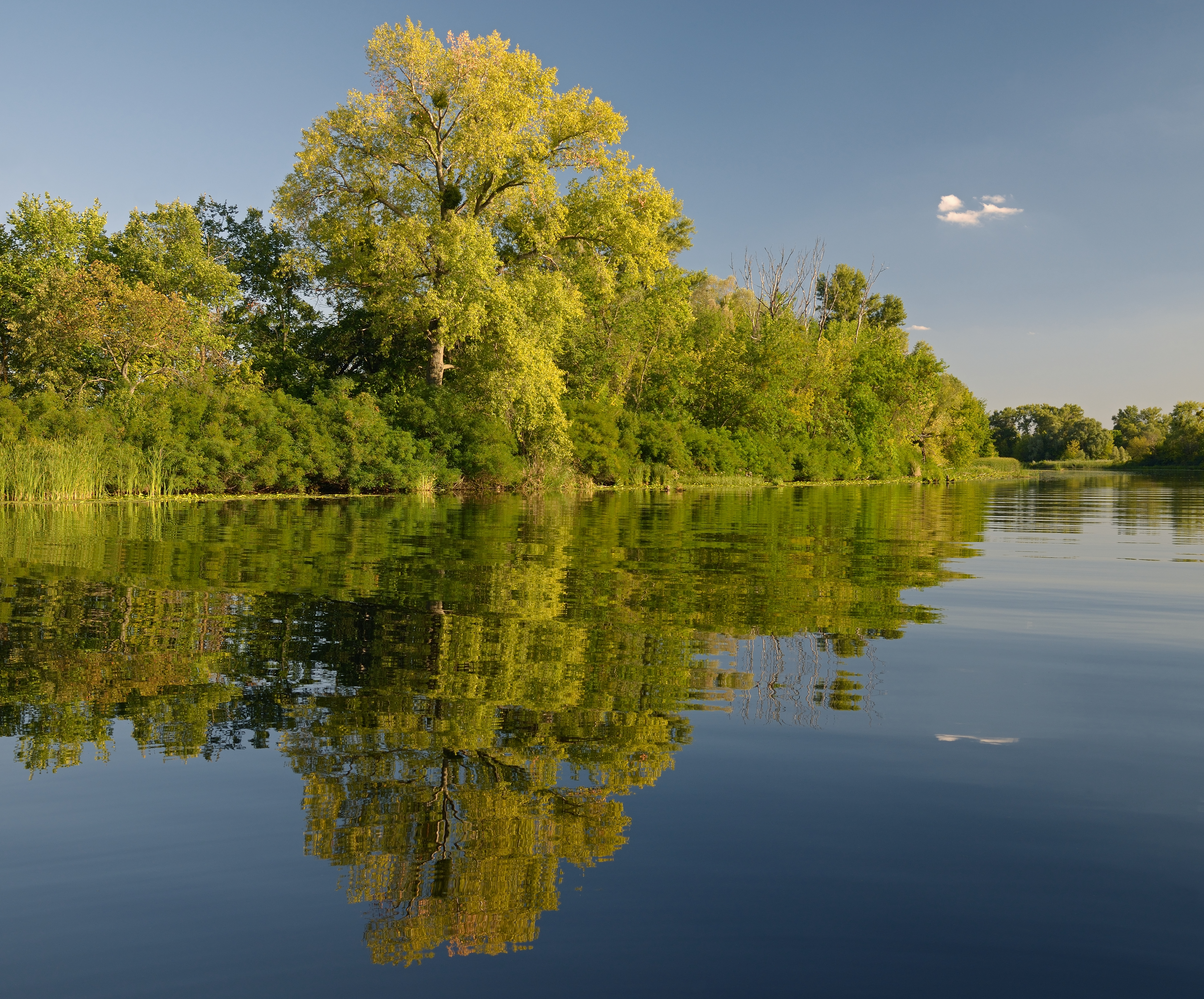 The touch of Autumn Dnipro River Kozachy island