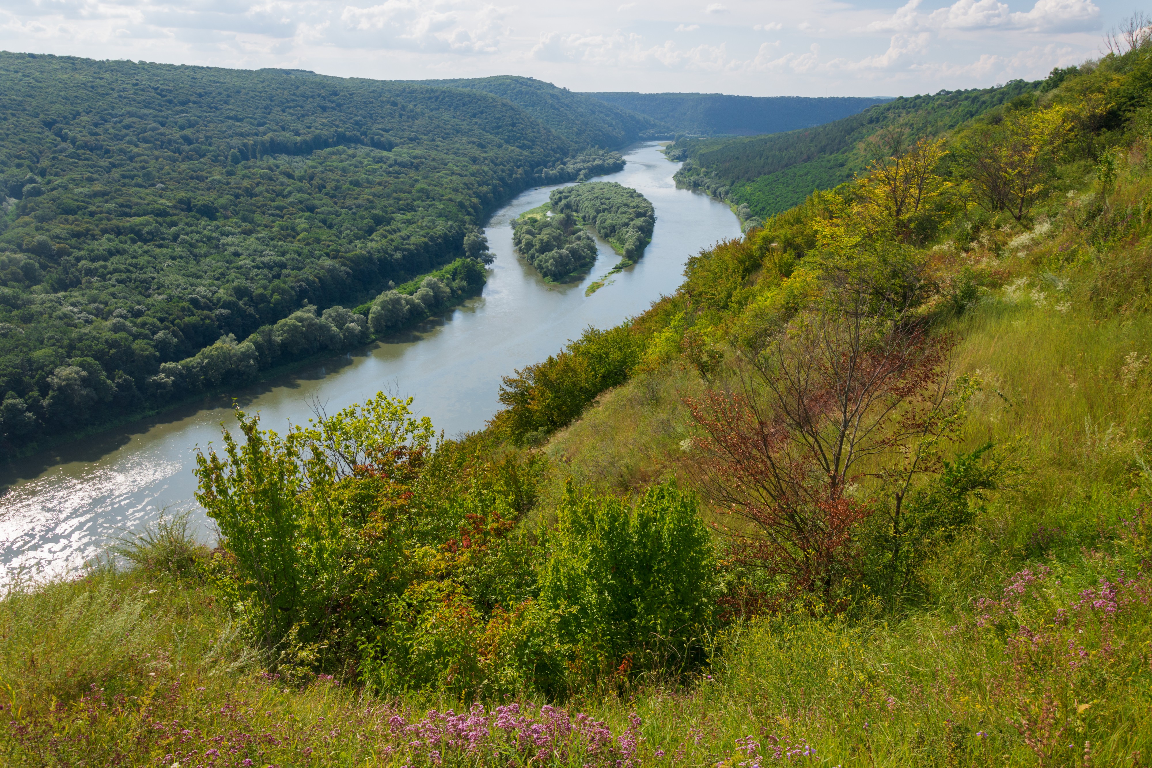 61-208-5089 Dniester Canyon RB 18