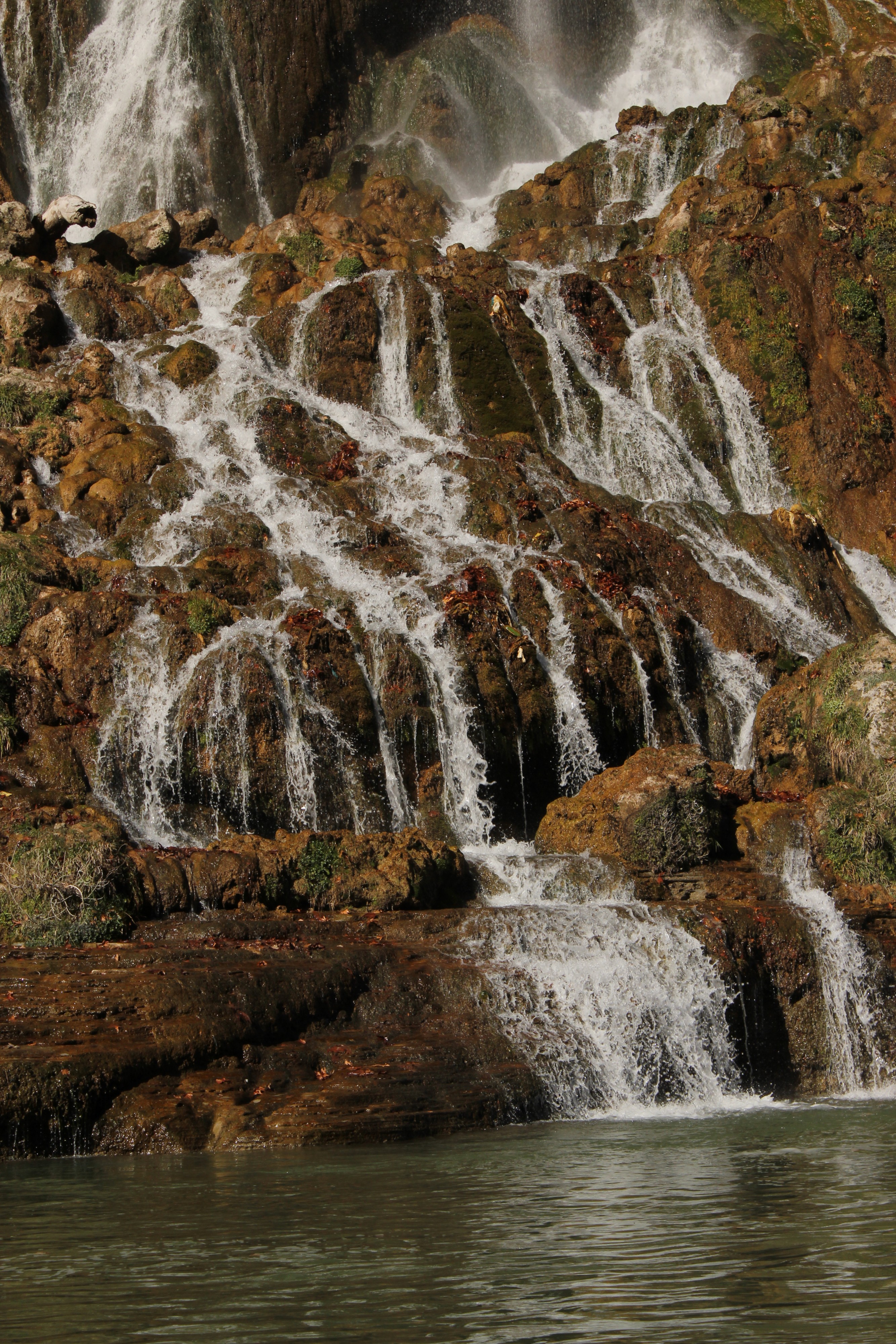 AbshaarBishe (1)