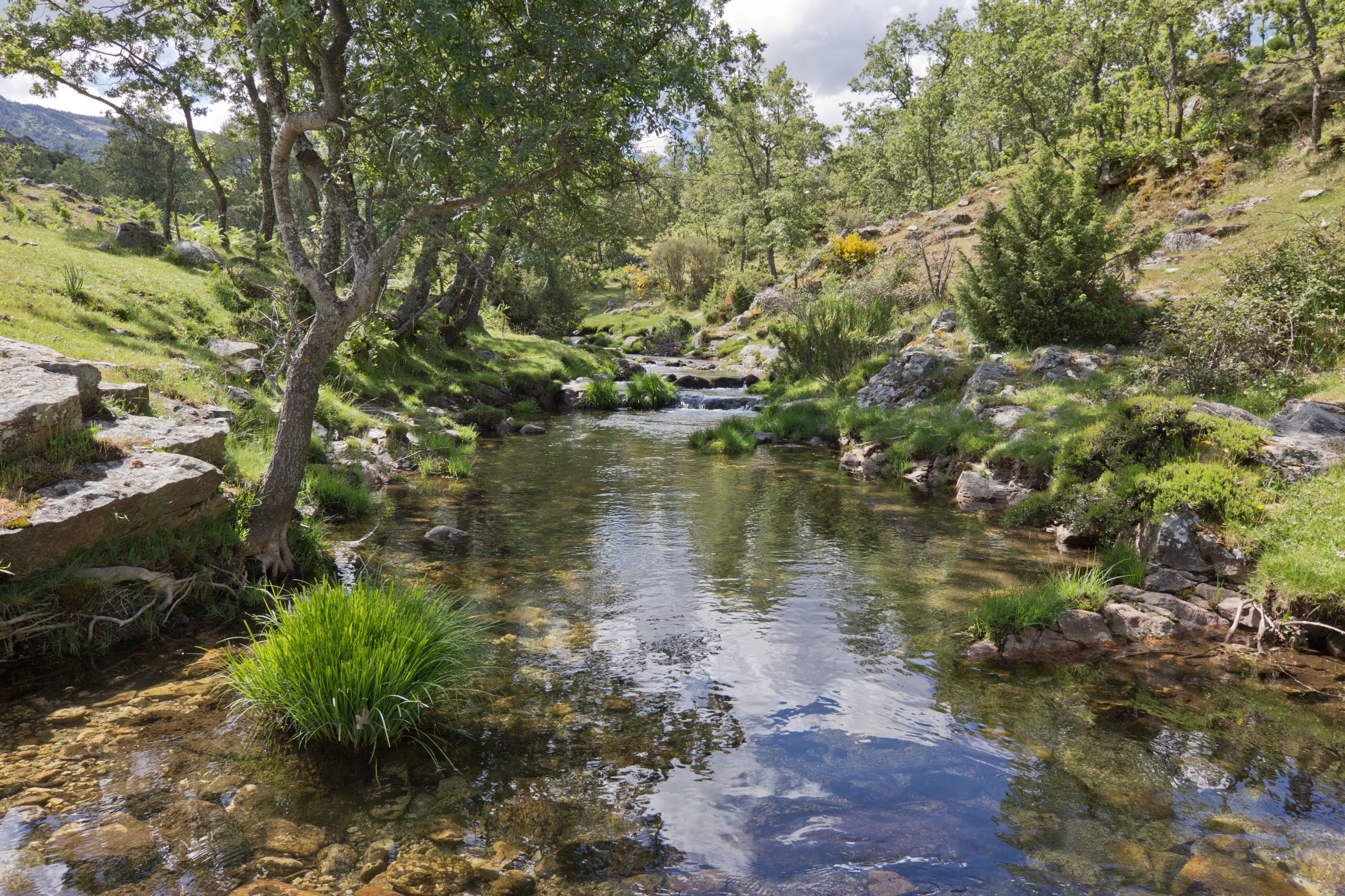 Arroyo del Aguilón, río Lozoya - 01