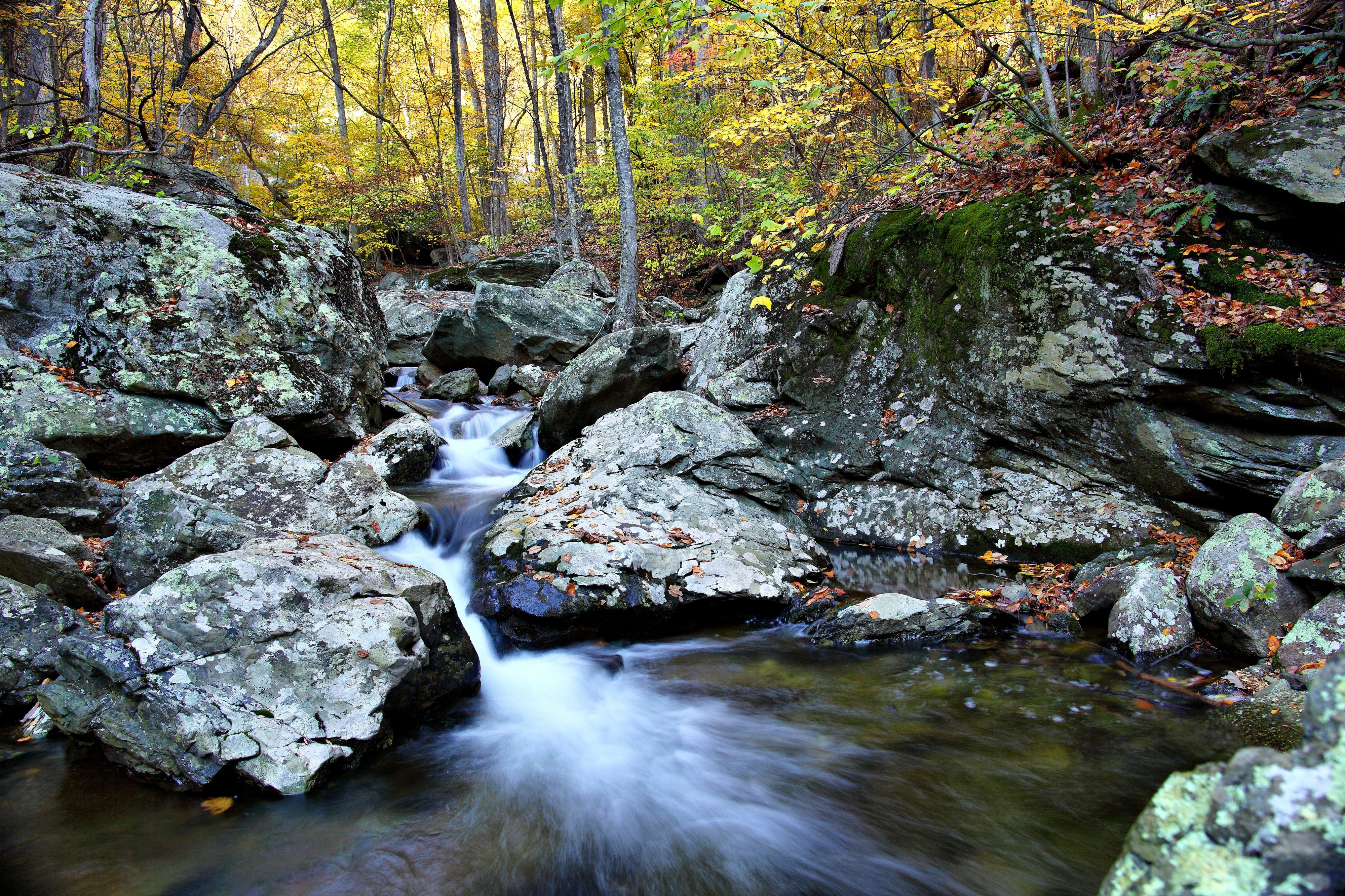 Autumn-forest-creek-waterfalls - Virginia - ForestWander