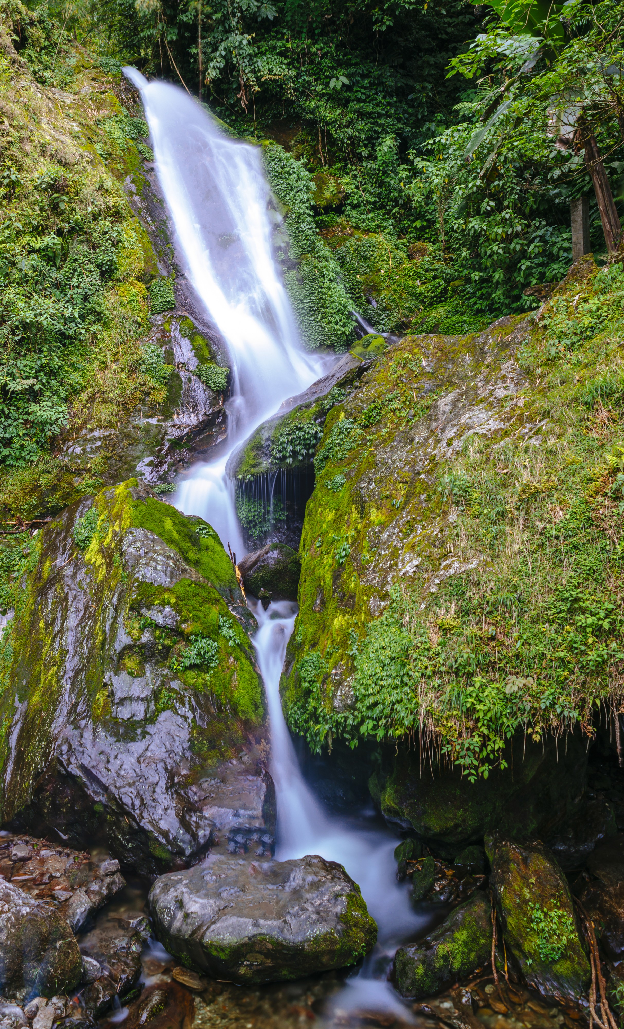 Butterfly Falls, Sikkim