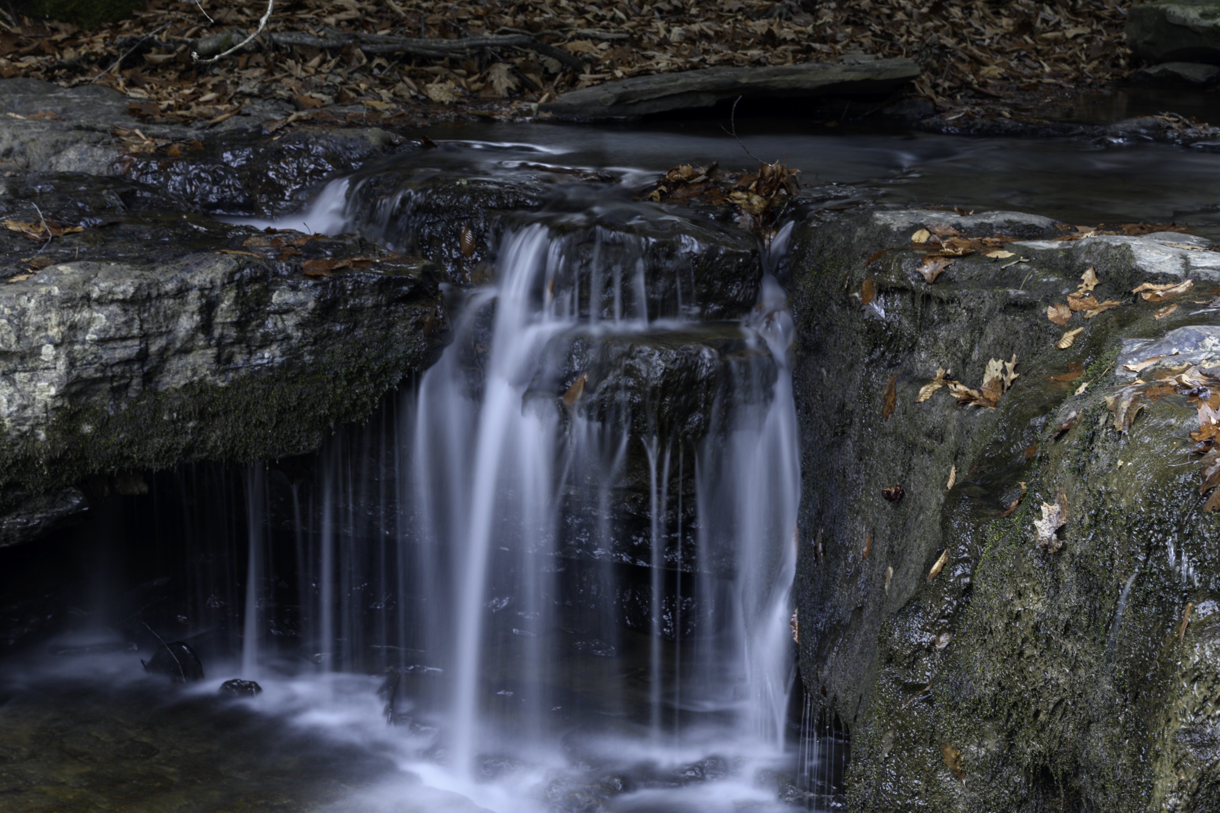 Camp Creek State Park - Marsh Fork Falls WV 6 LR