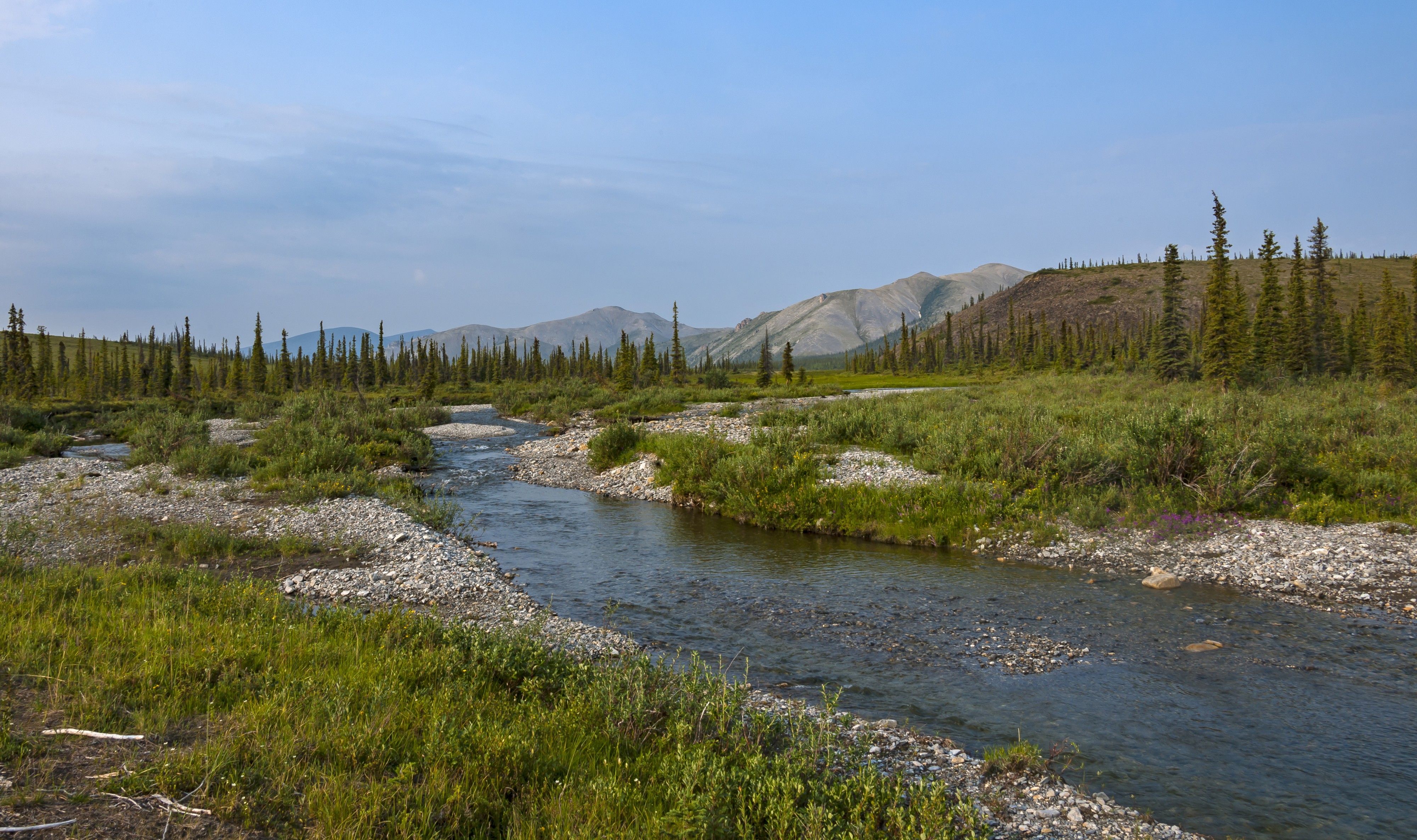 Crooked Creek landscape, Ivvavik National Park, YT