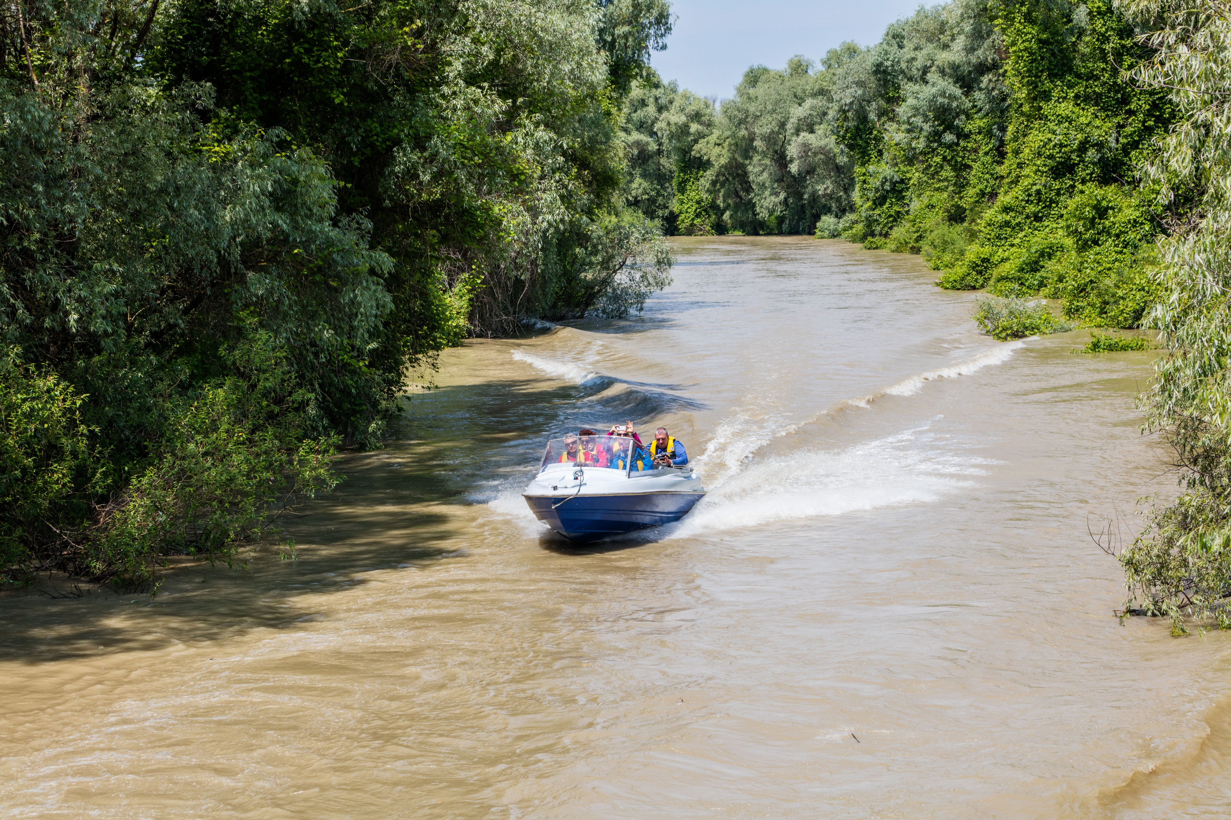 Delta del Danubio, Rumanía, 2016-05-28, DD 15
