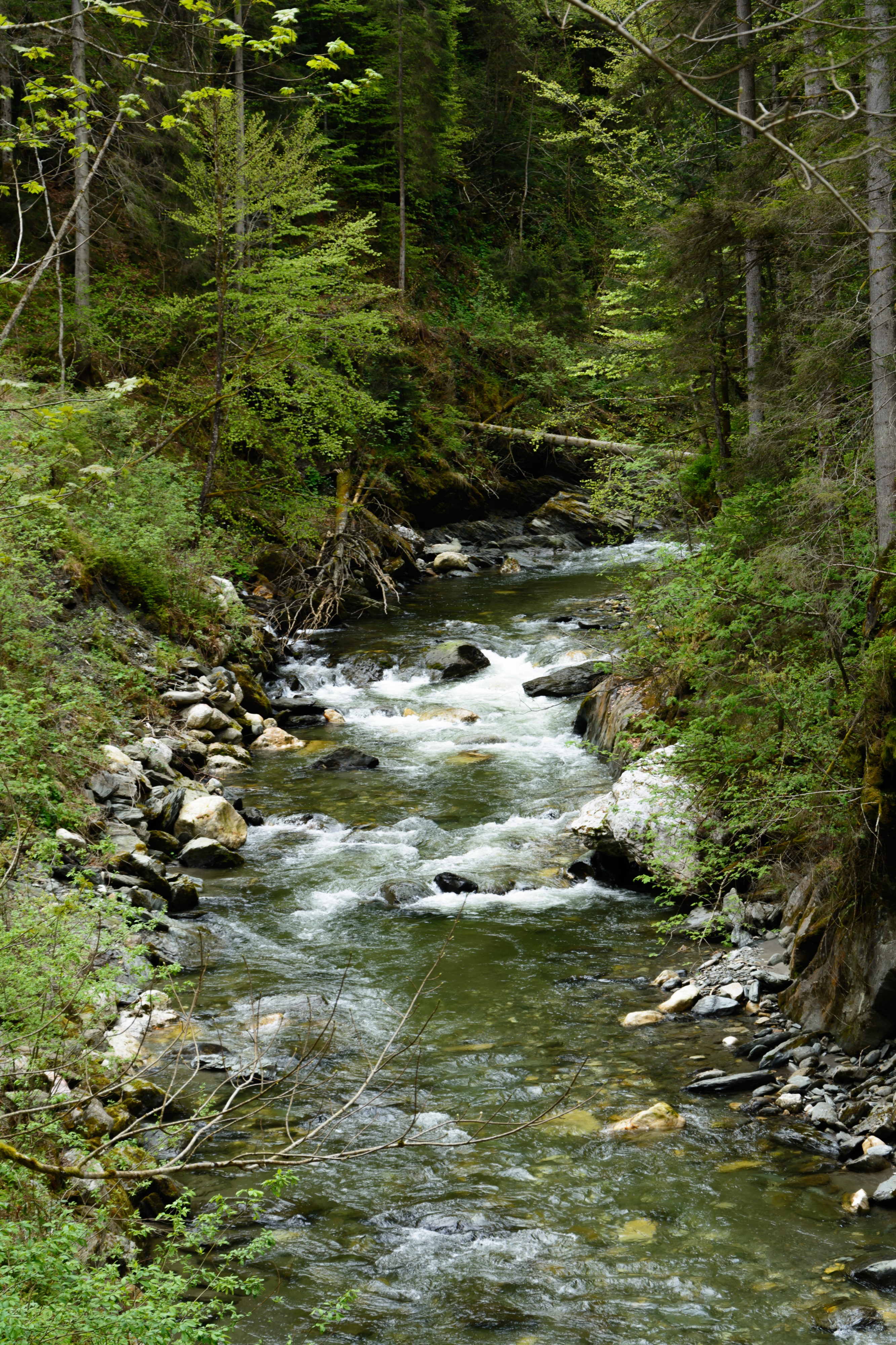 Donnersbachklamm 02