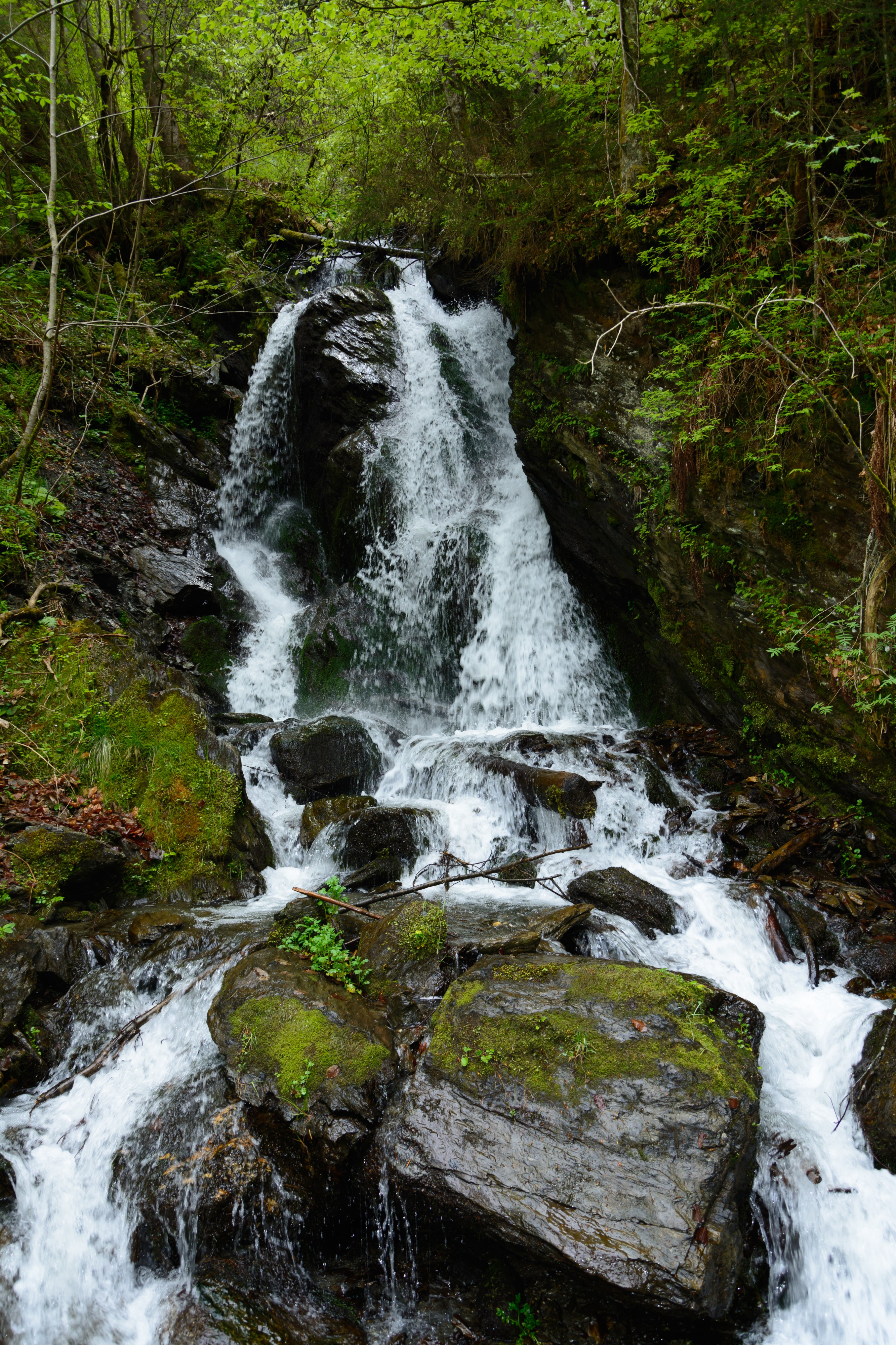 Donnersbachklamm 04