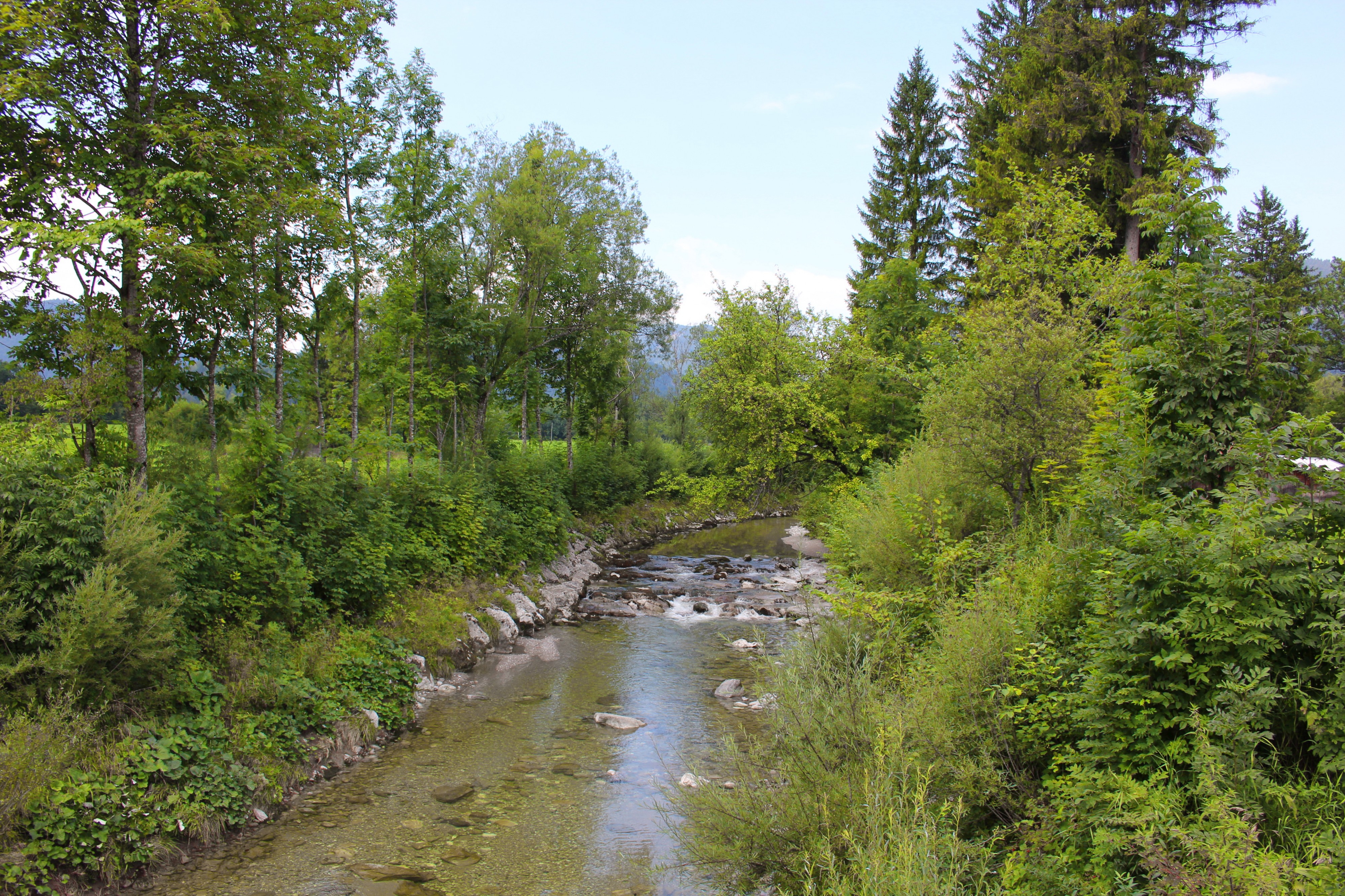 Fluss Laine in der Jachenau