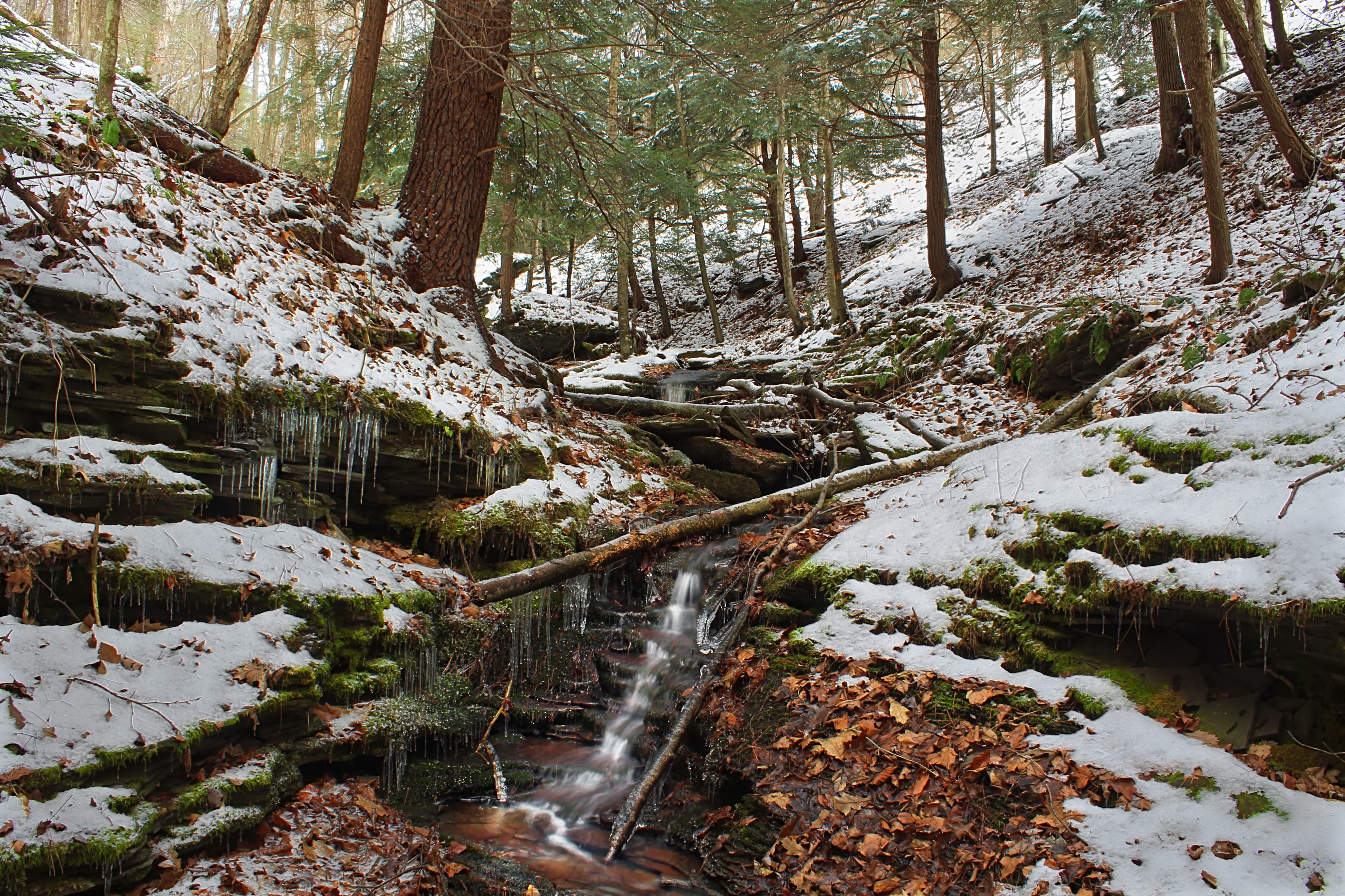 Golden Eagle Trail (Full Hike) (19) (11142038633)