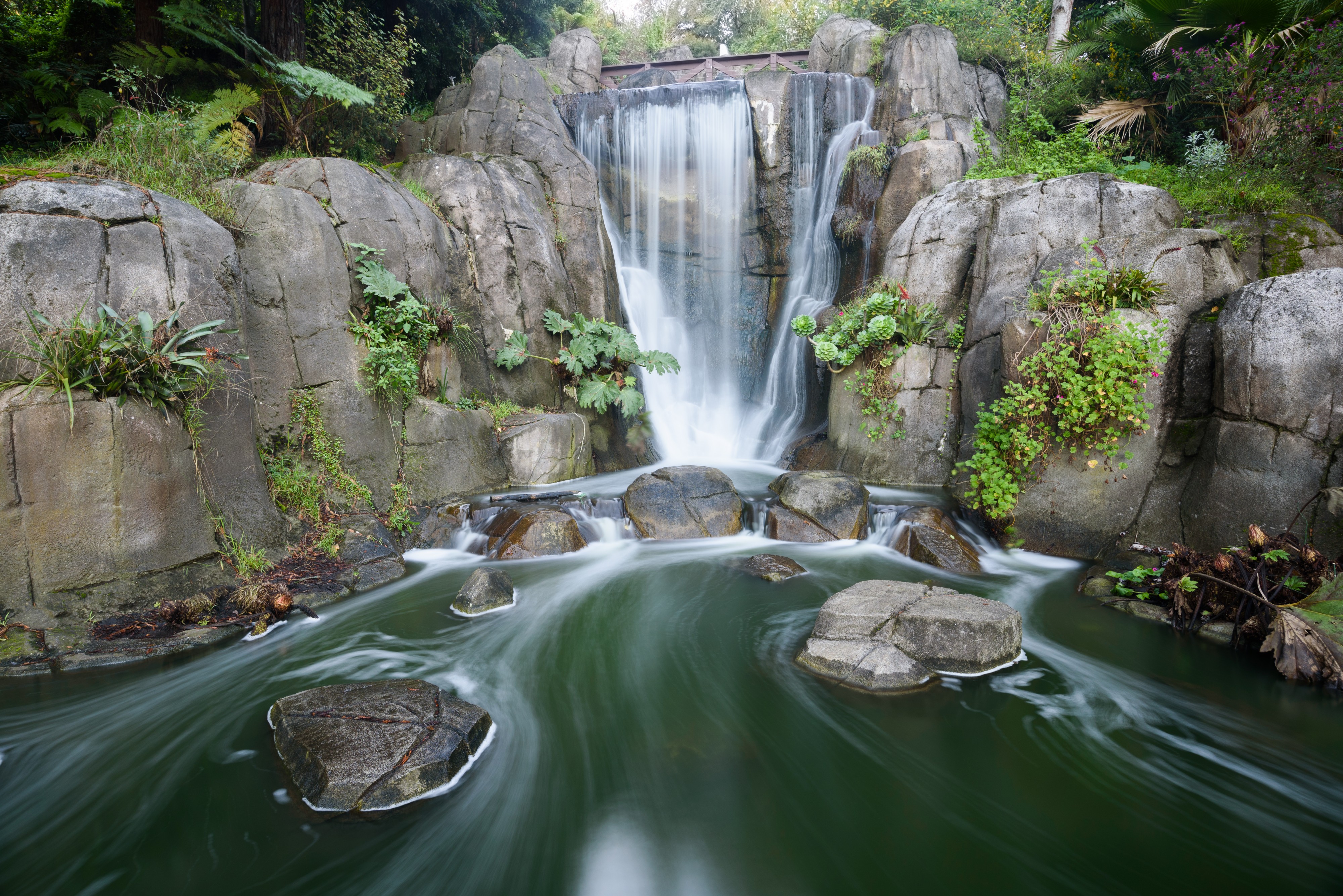 Golden Gate Park San Francisco December 2016 006