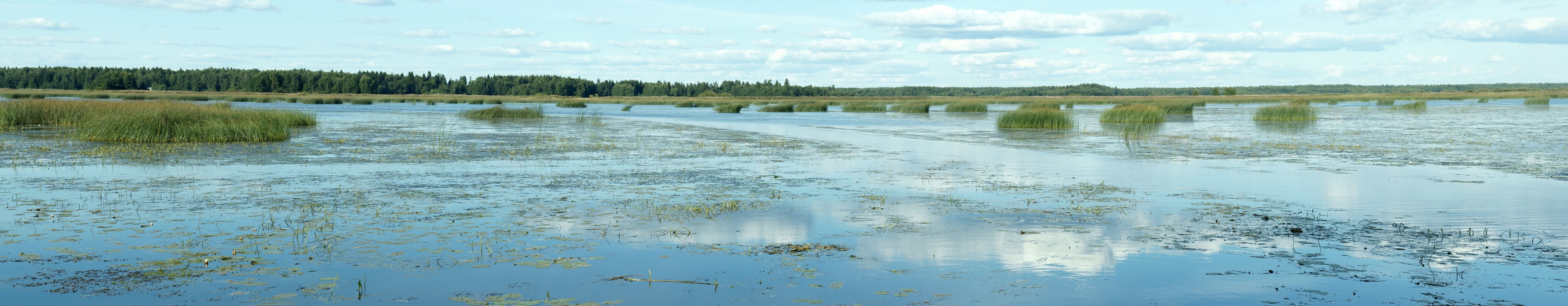 Kokemäenjoen suistoa Halssista 1