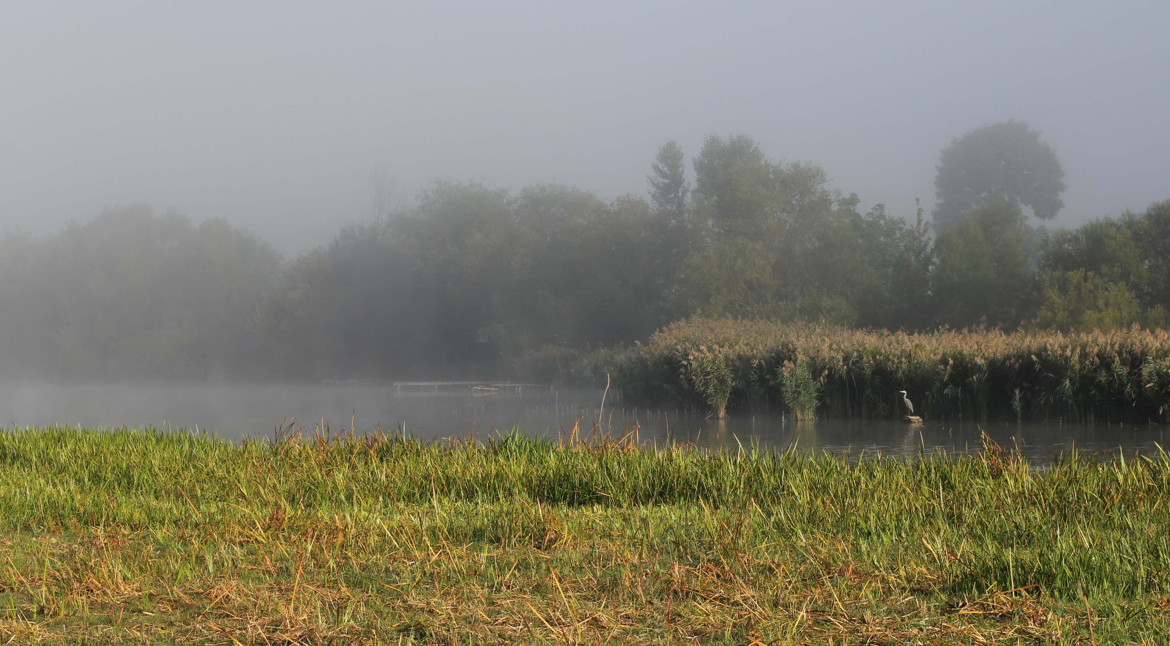 Komargorod pond 2013 G4