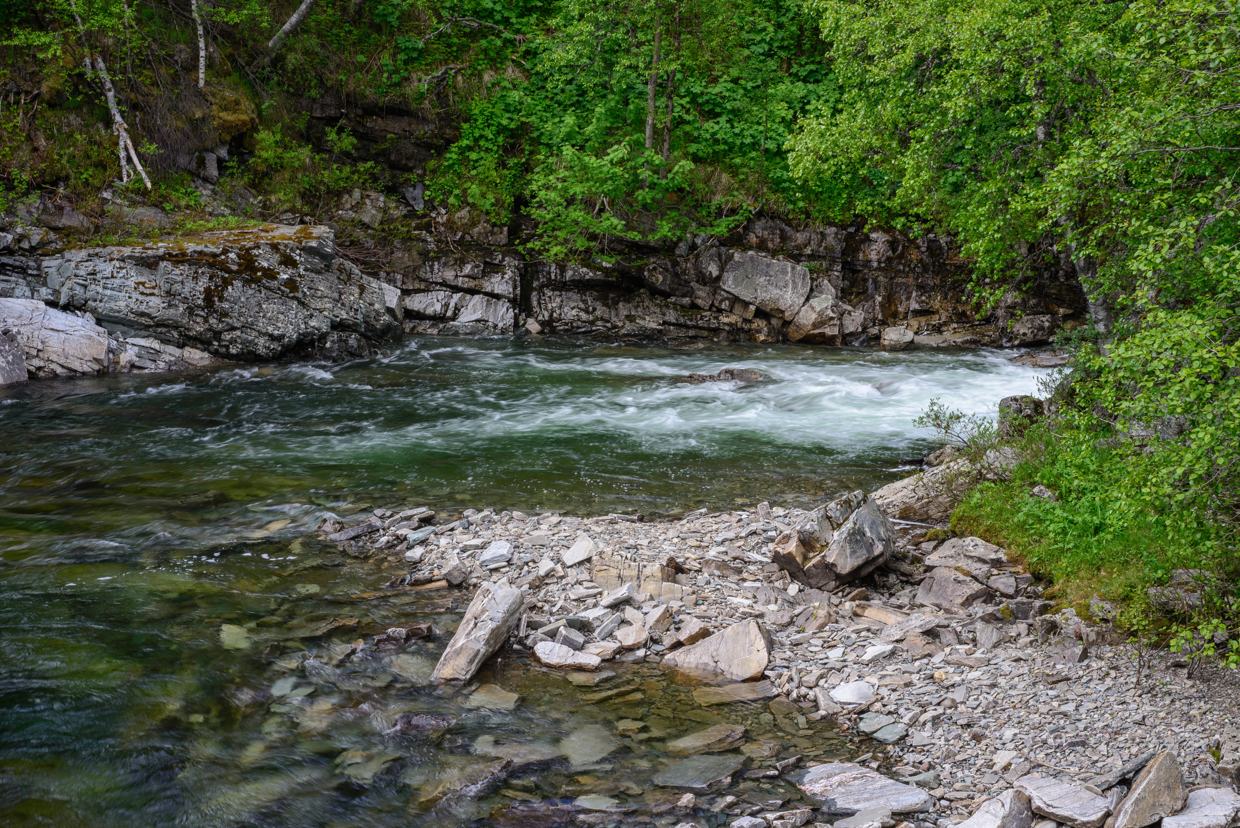 Ljungdalen June 2014 05