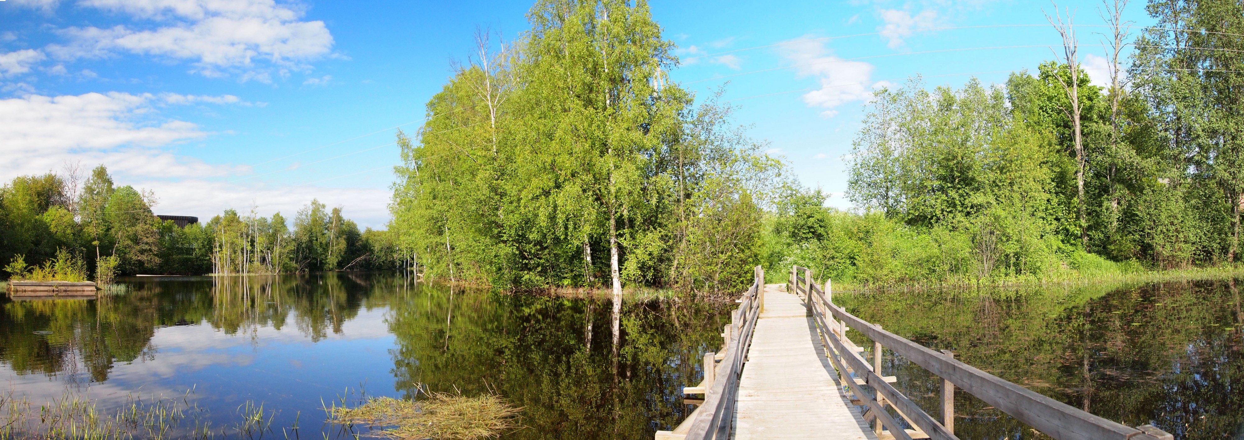 Muurame nature trail2