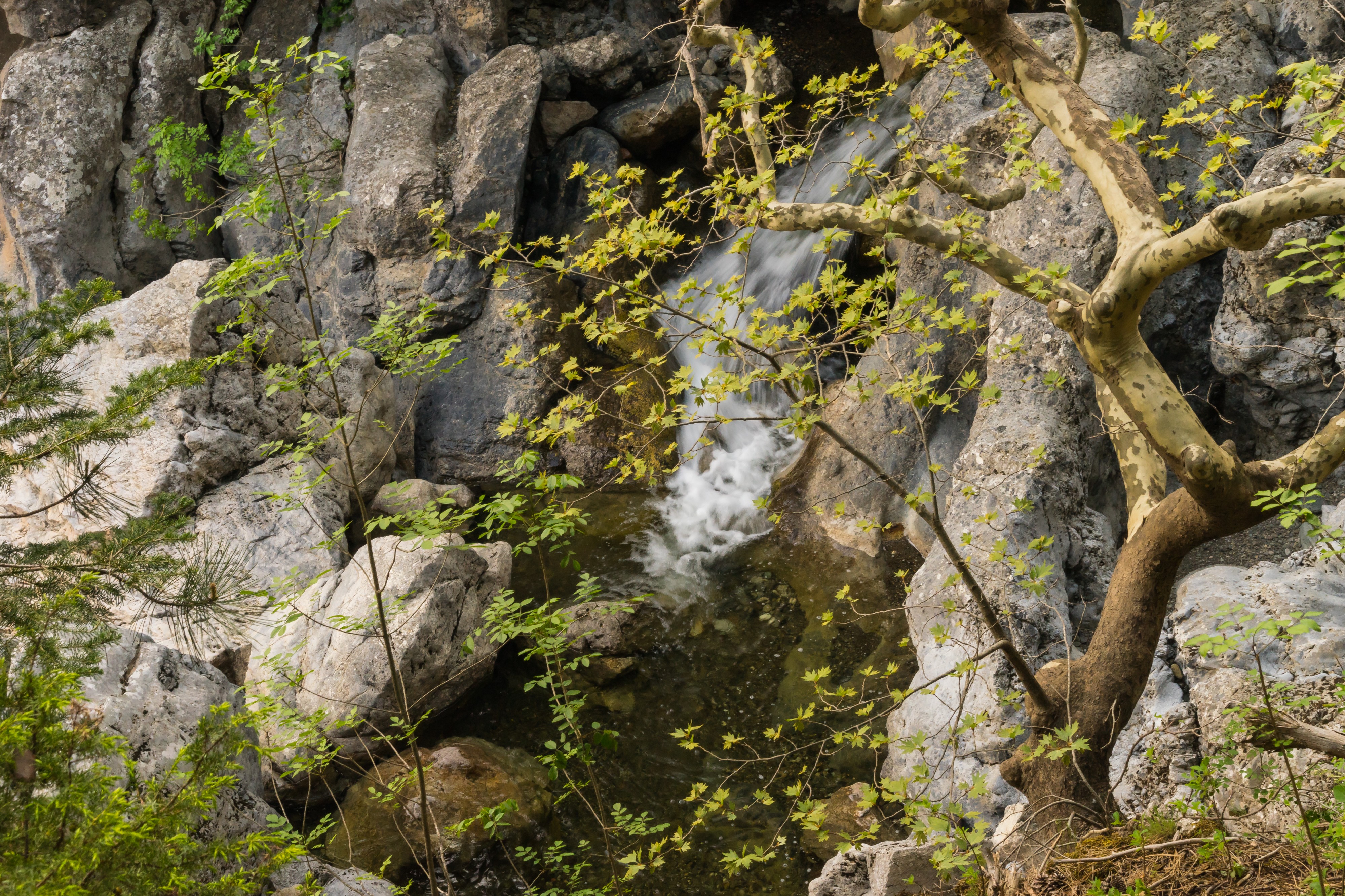 Nature water Drymona Euboea Greece