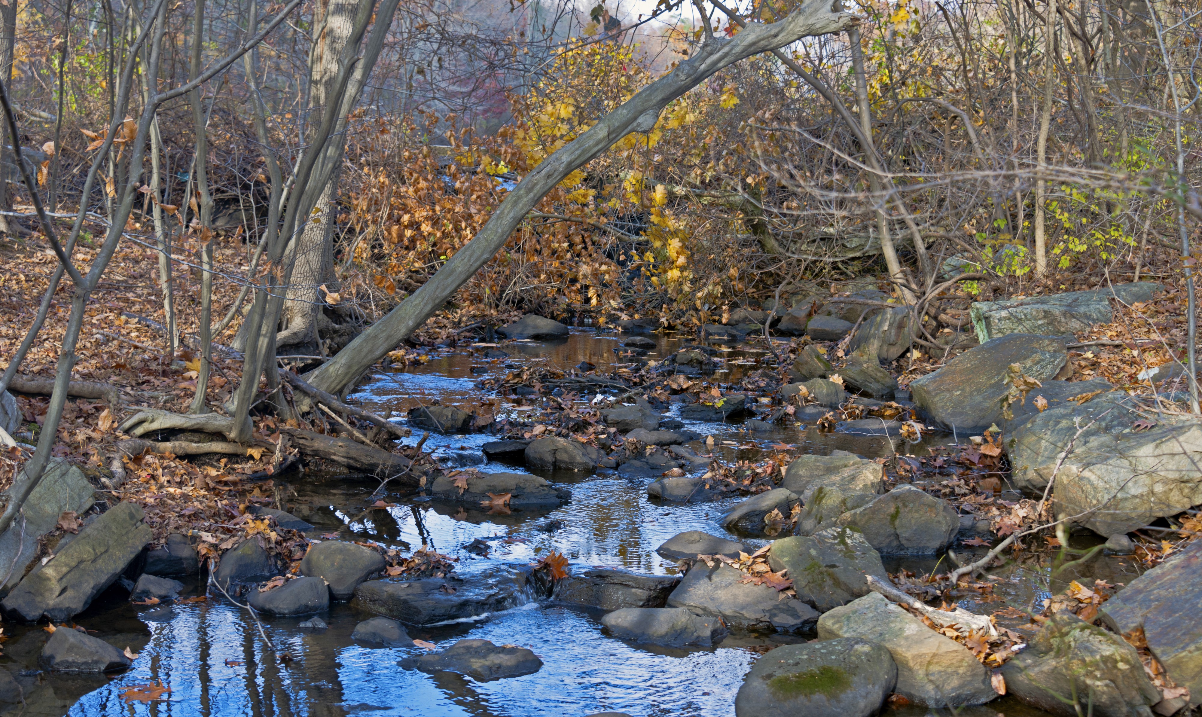 Pocantico River at source