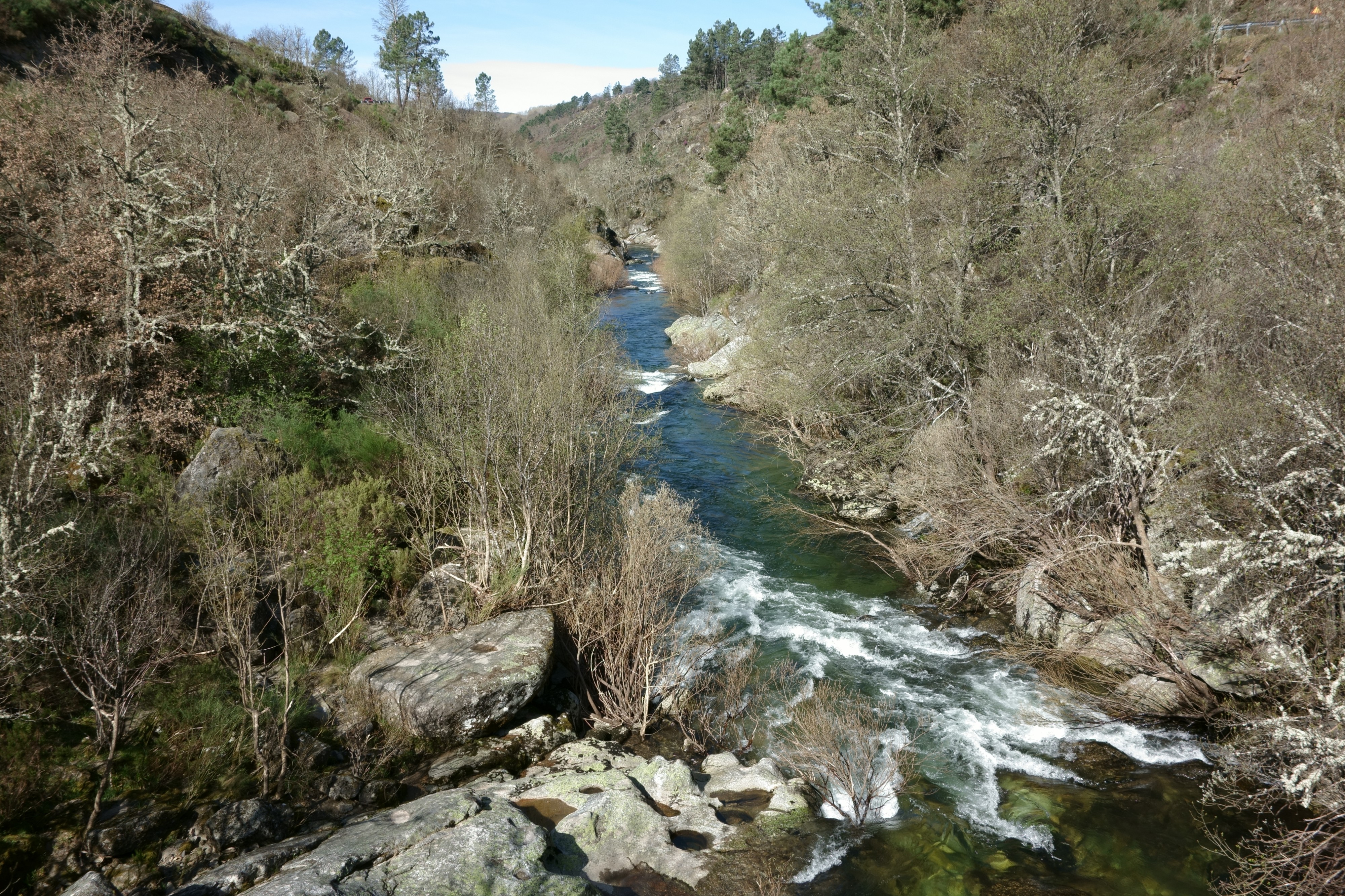 Rio Tuela