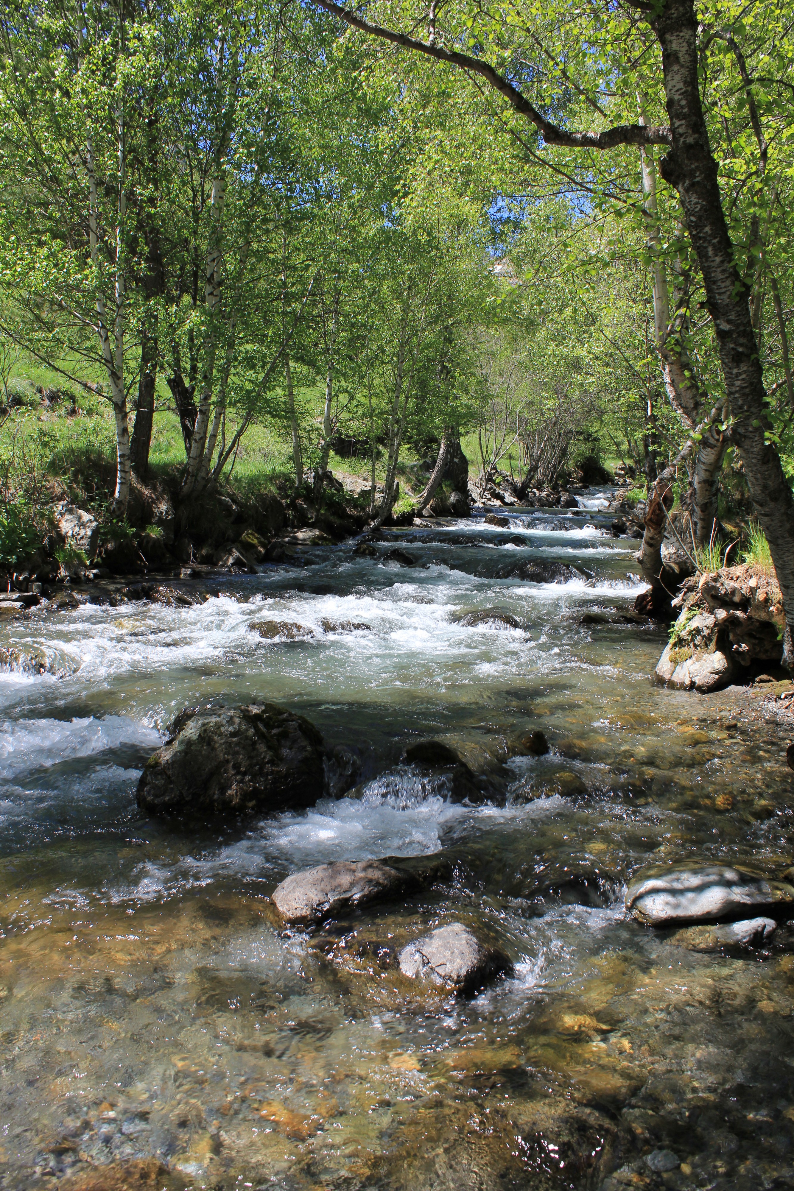 Riu Valira del Nord - 1