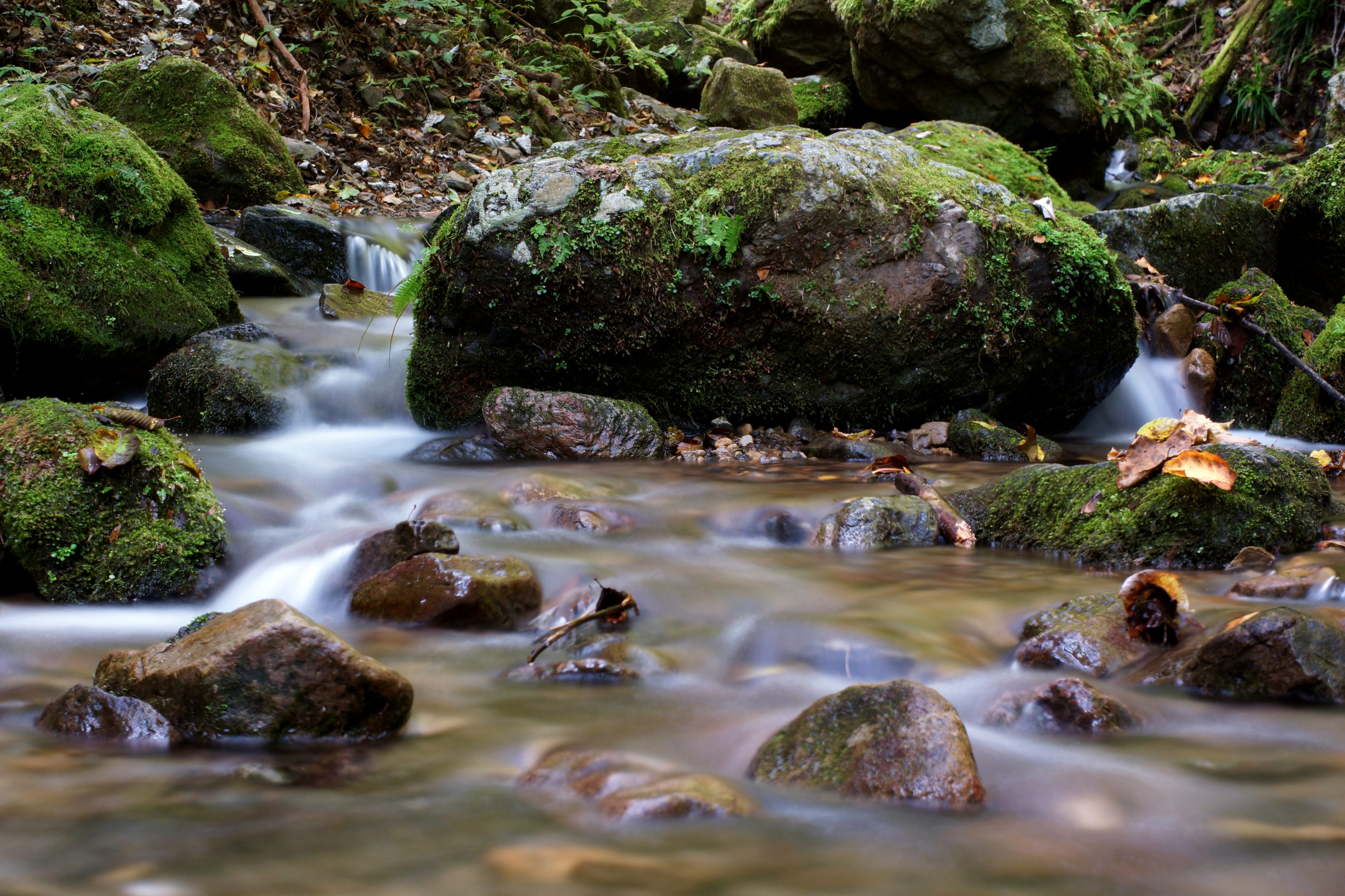 Rock-n Rock (10621398735)
