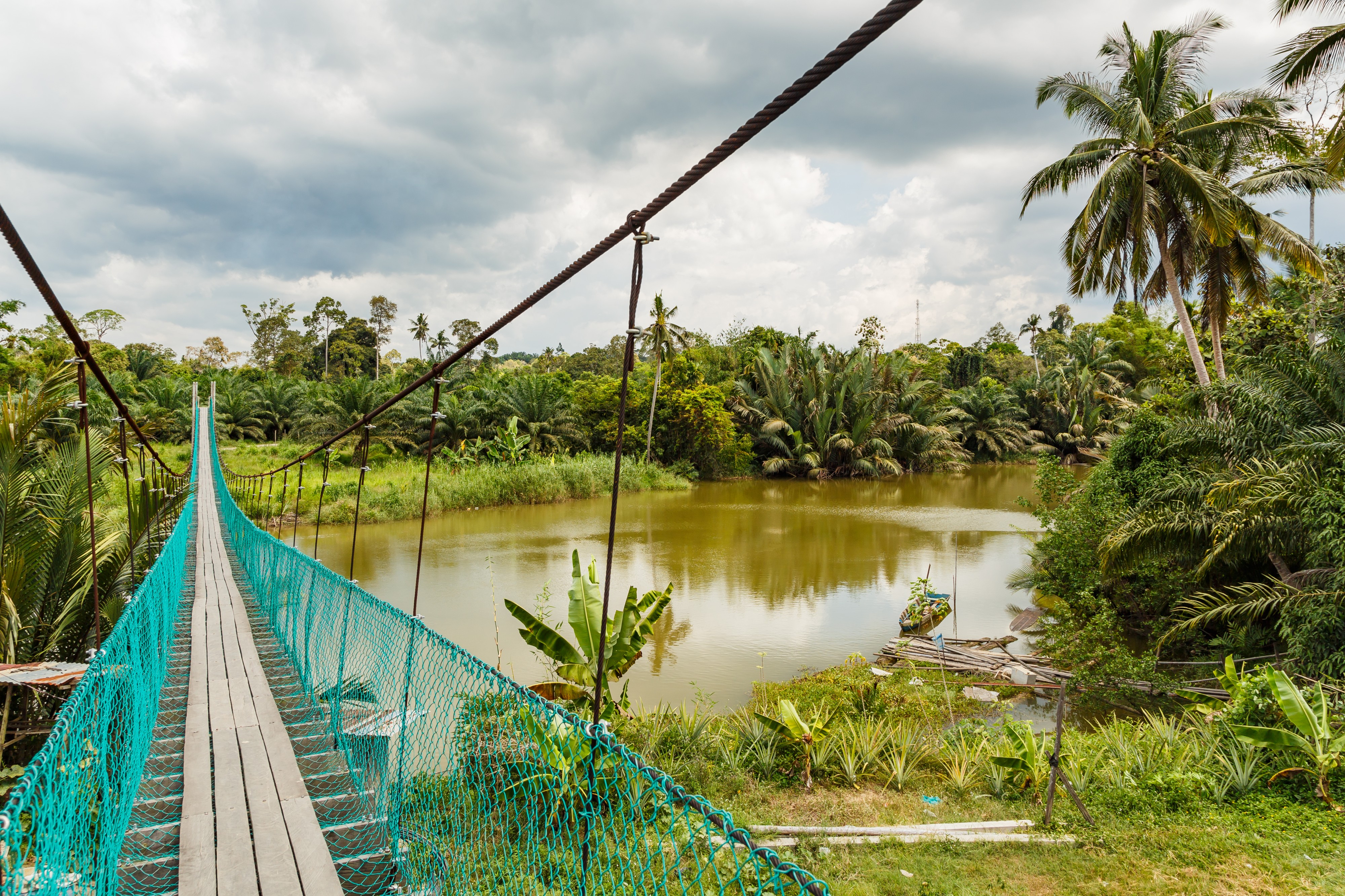 Segaliud Sabah Sungai-Segaliud-02