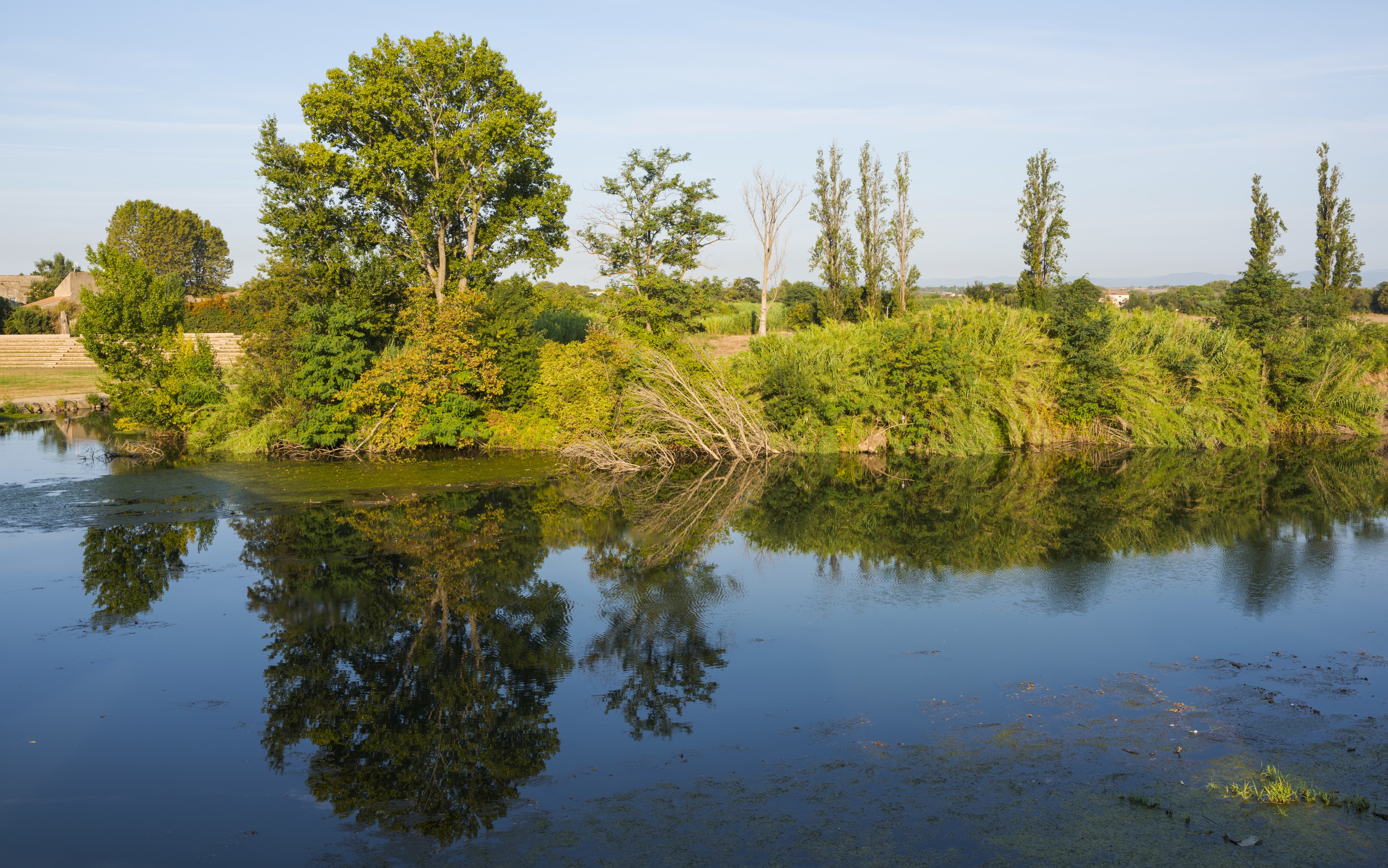 Tree reflection, Orb River, Béziers cf02