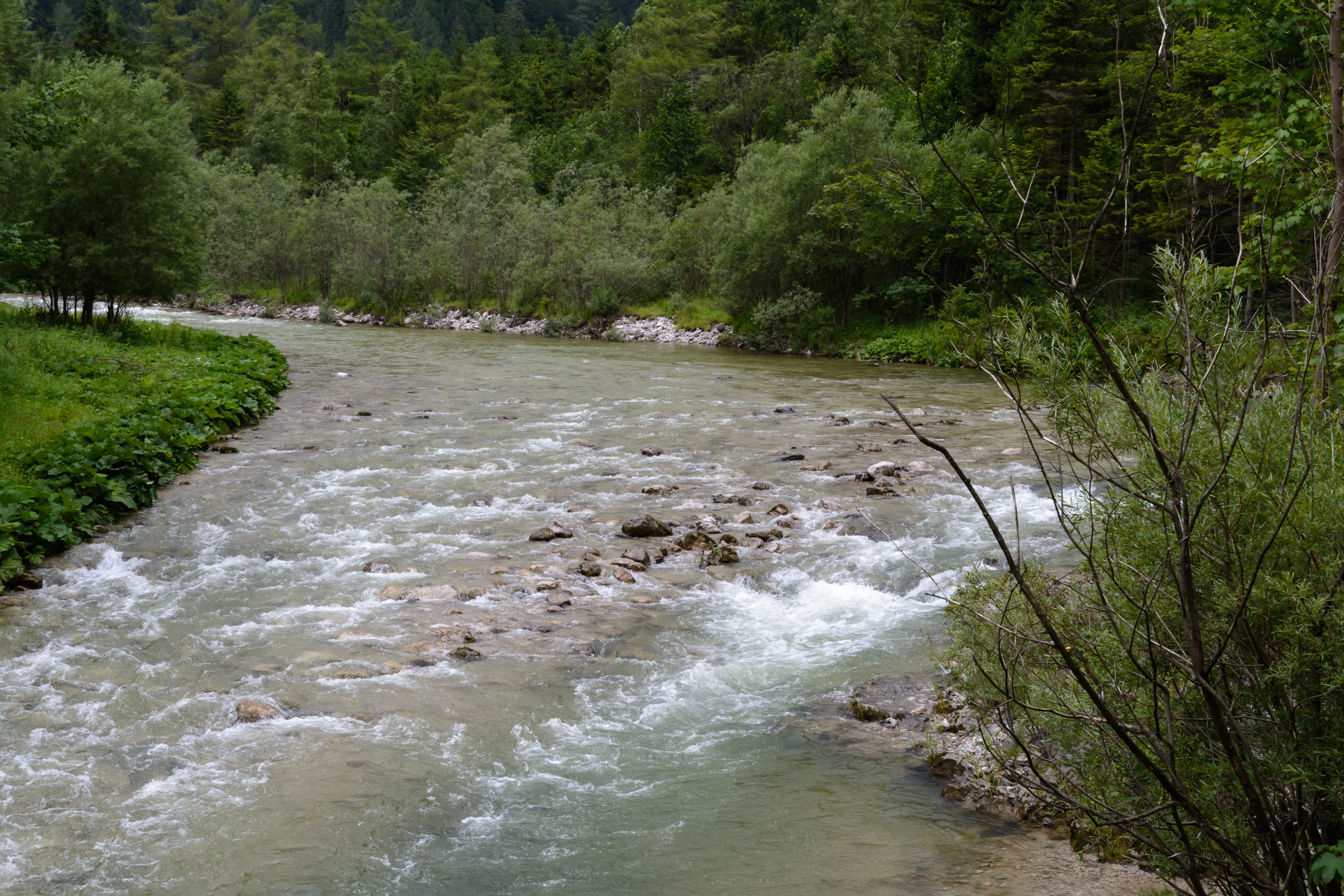 Vordere Tormäuer Baumannboden 20160716 01
