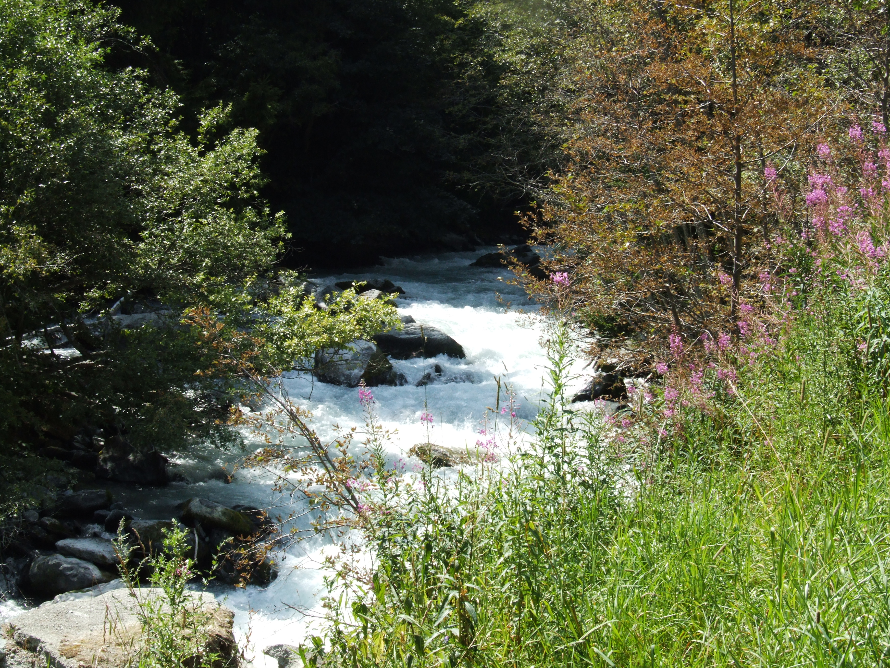 Torrente Evançon
