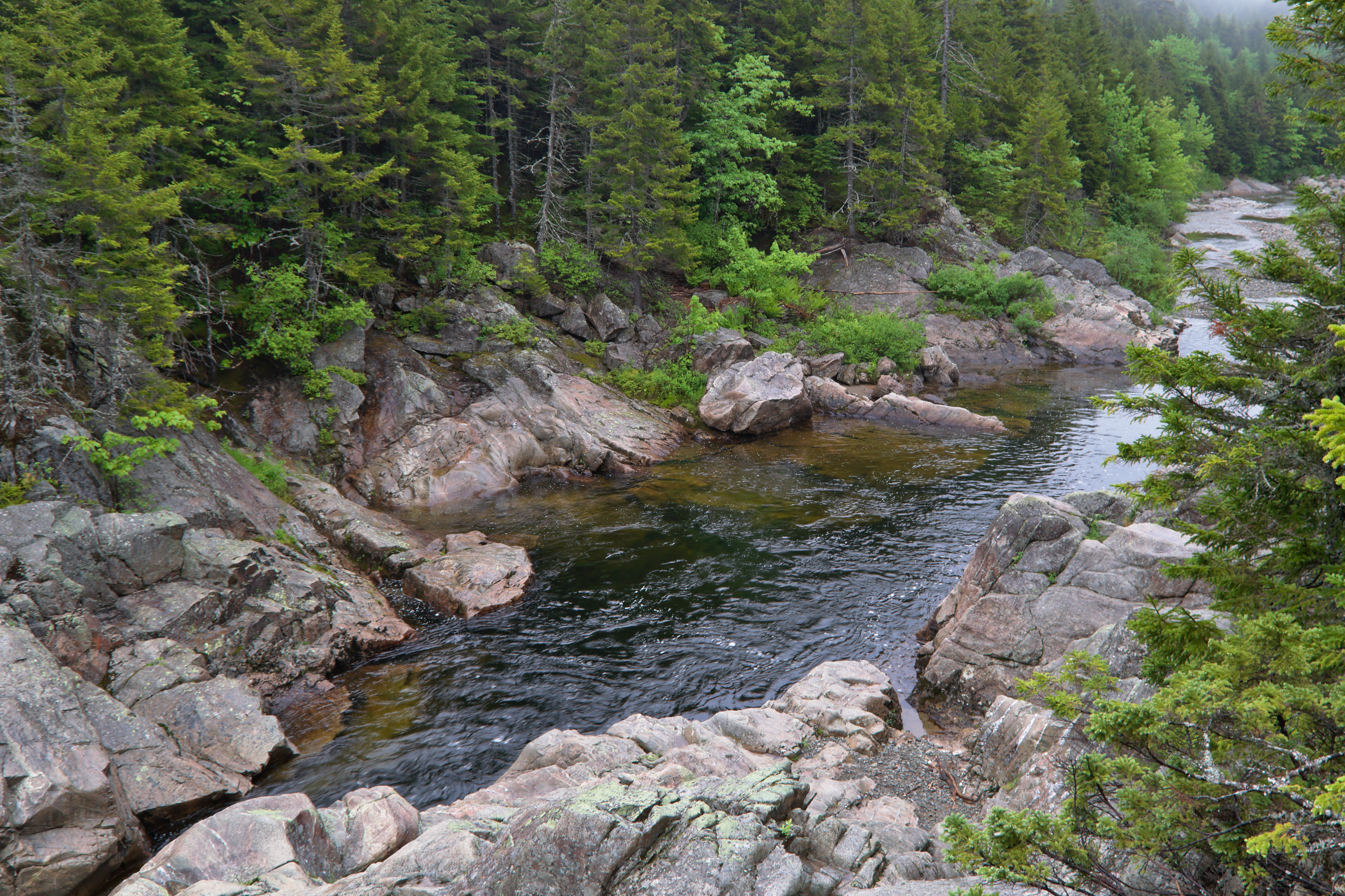 Upper Salmon River1